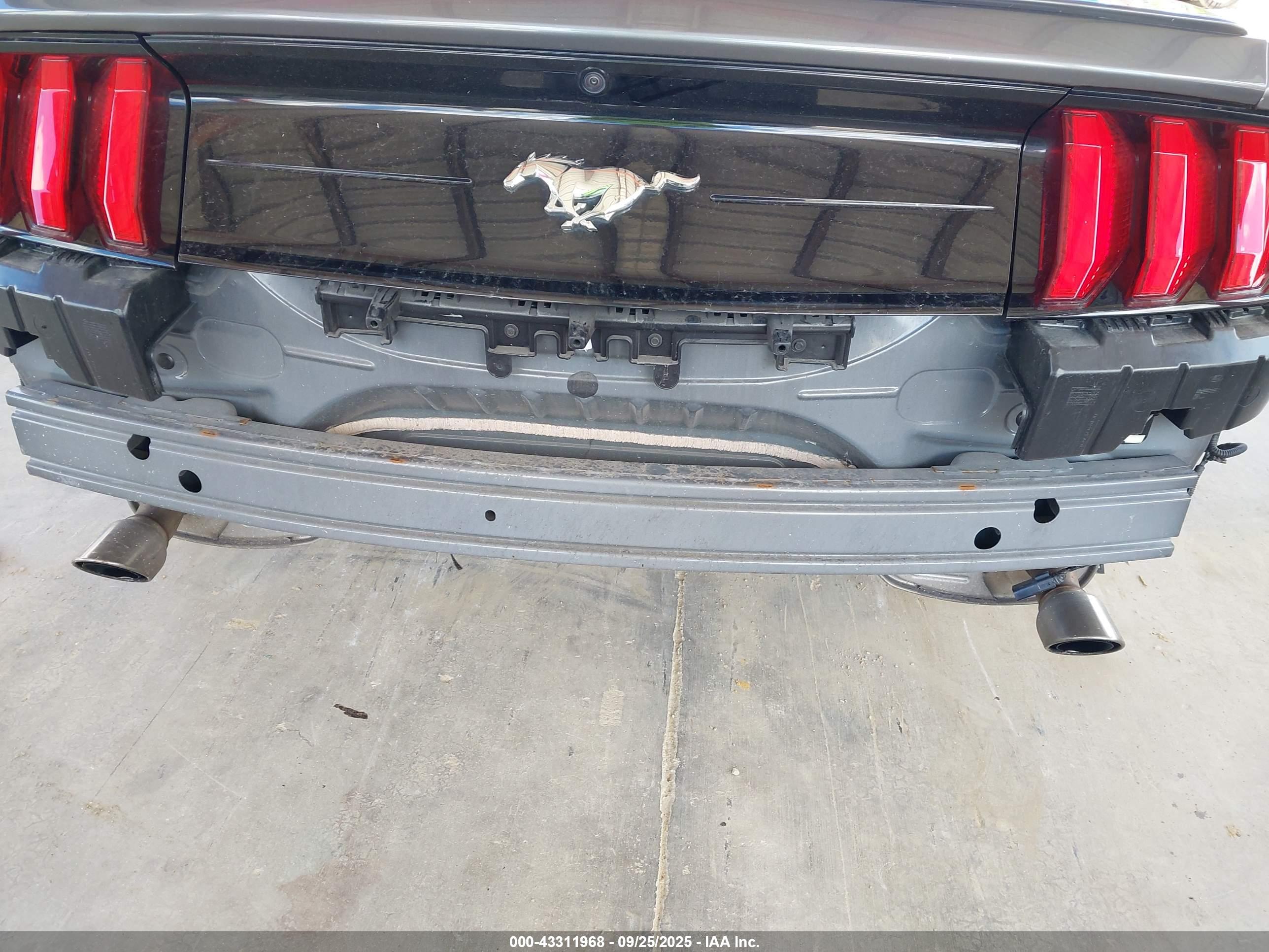 FORD MUSTANG image 6