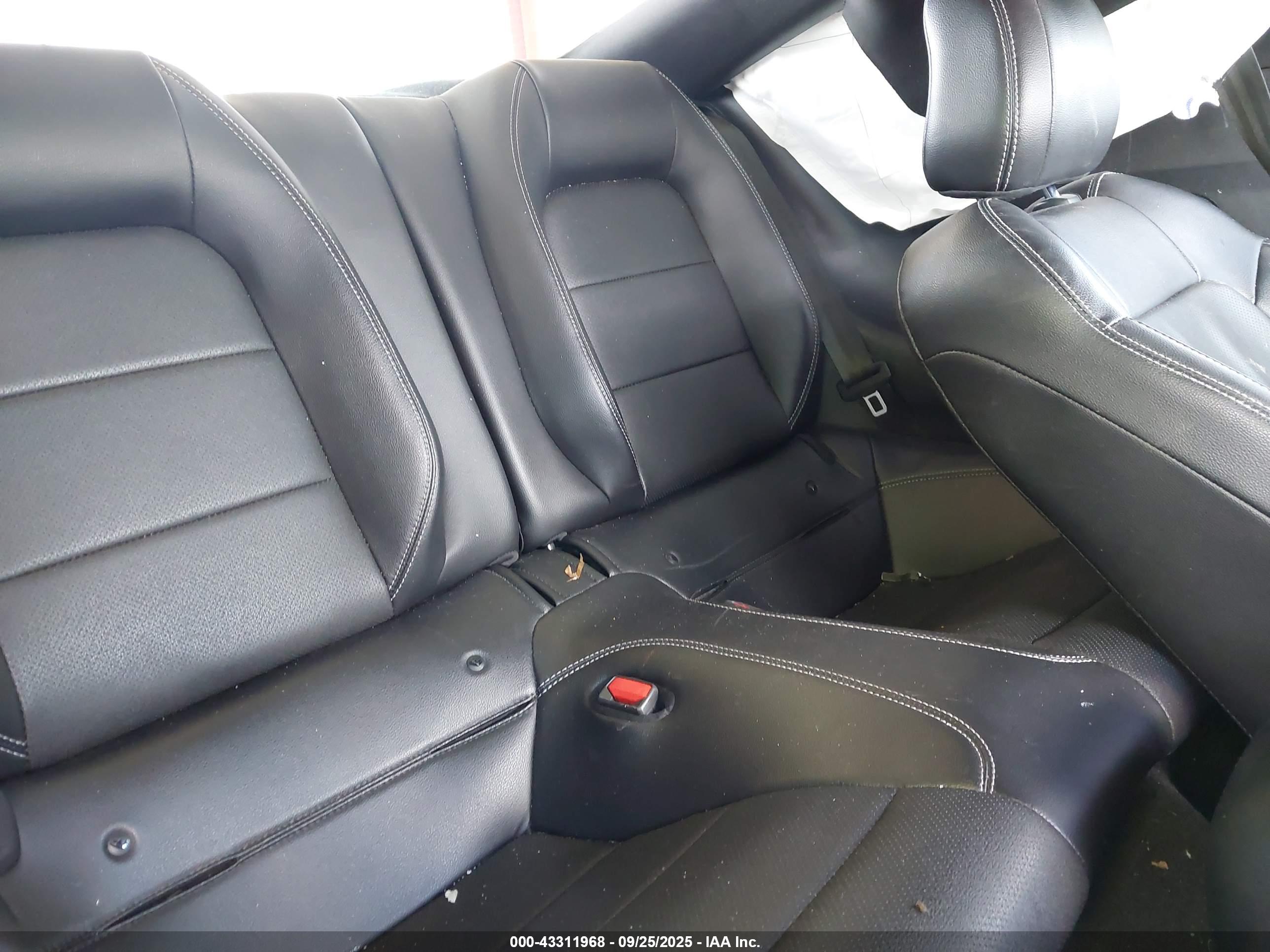 FORD MUSTANG image 8