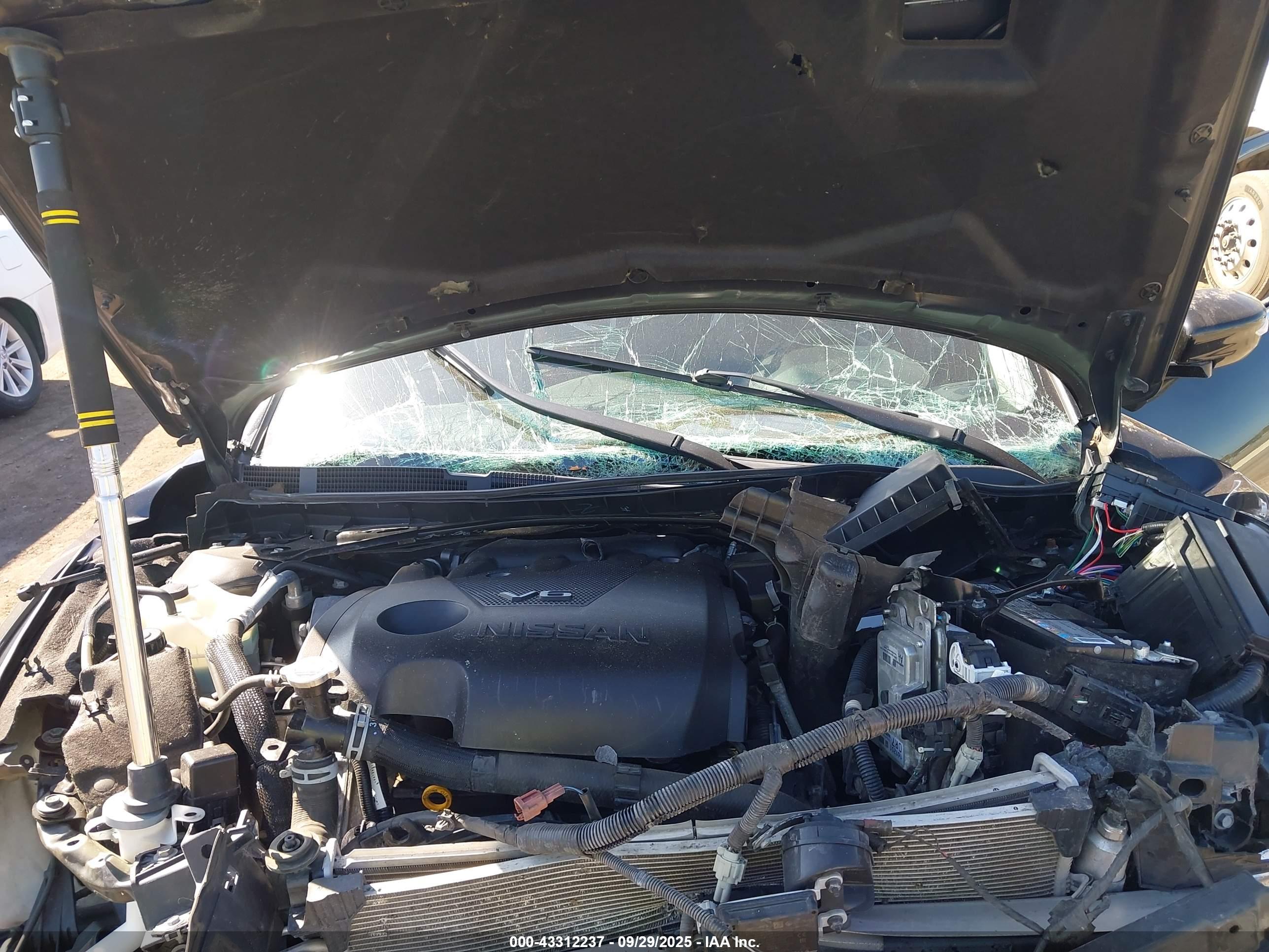 NISSAN MAXIMA image 10