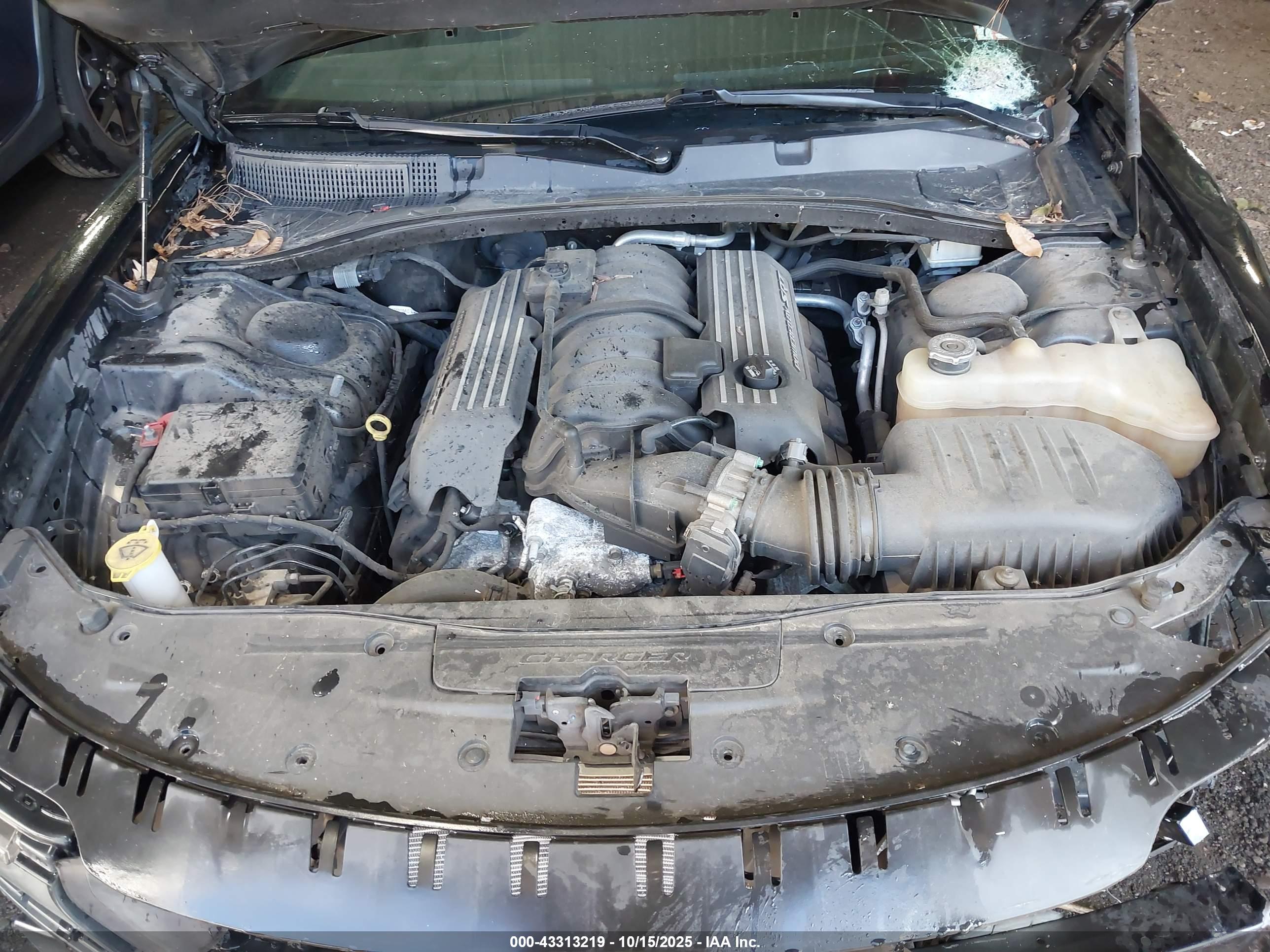 DODGE CHARGER image 10