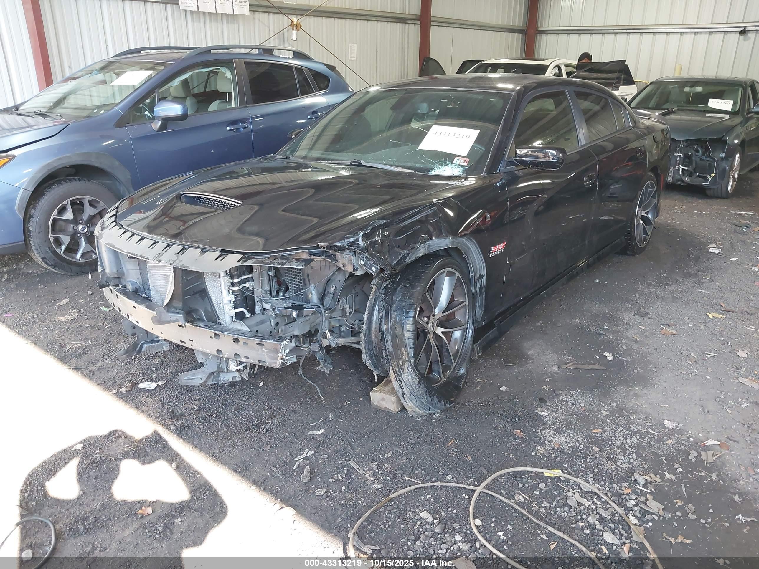 DODGE CHARGER image 2