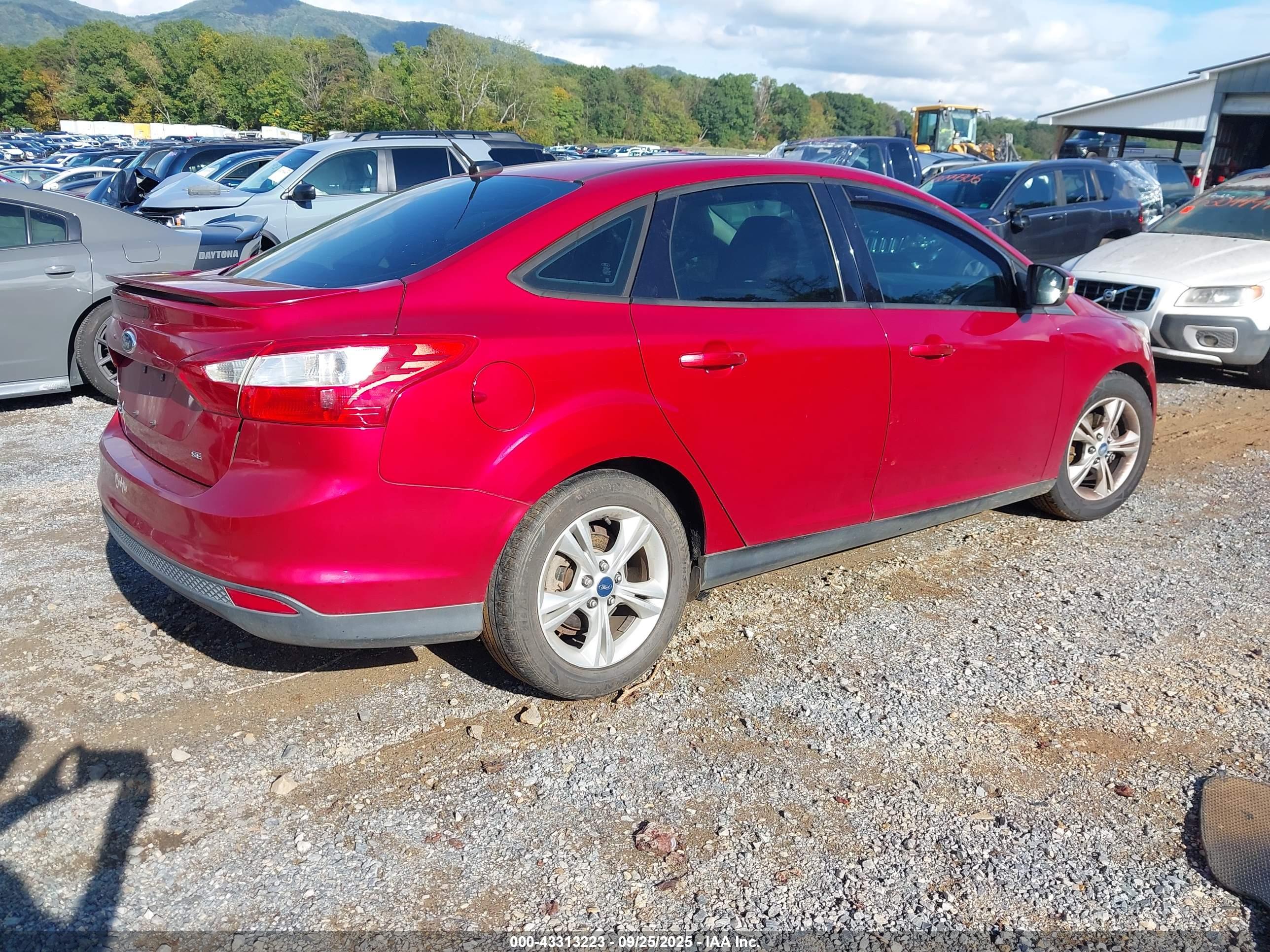 FORD FOCUS image 4