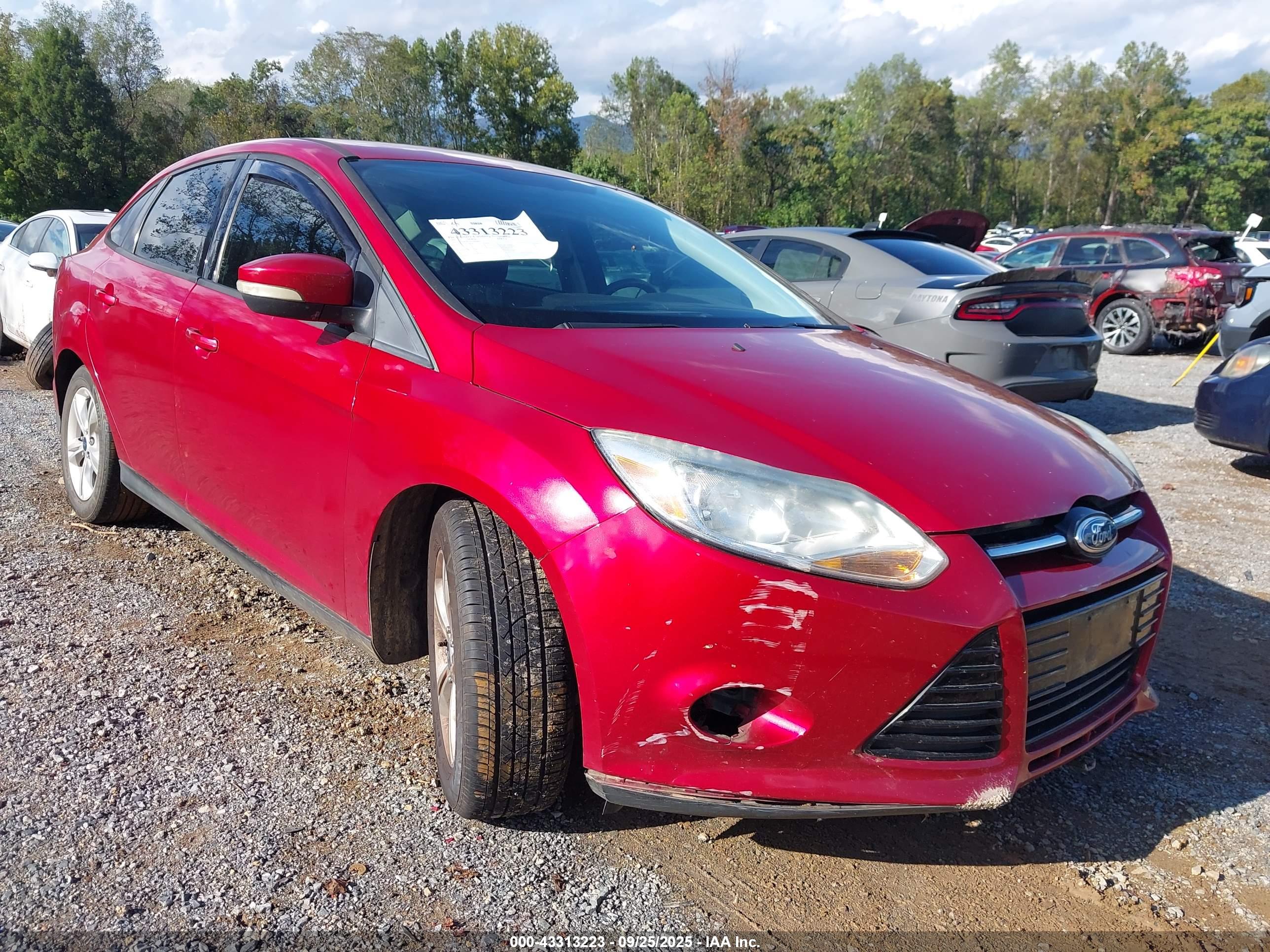 FORD FOCUS image 6
