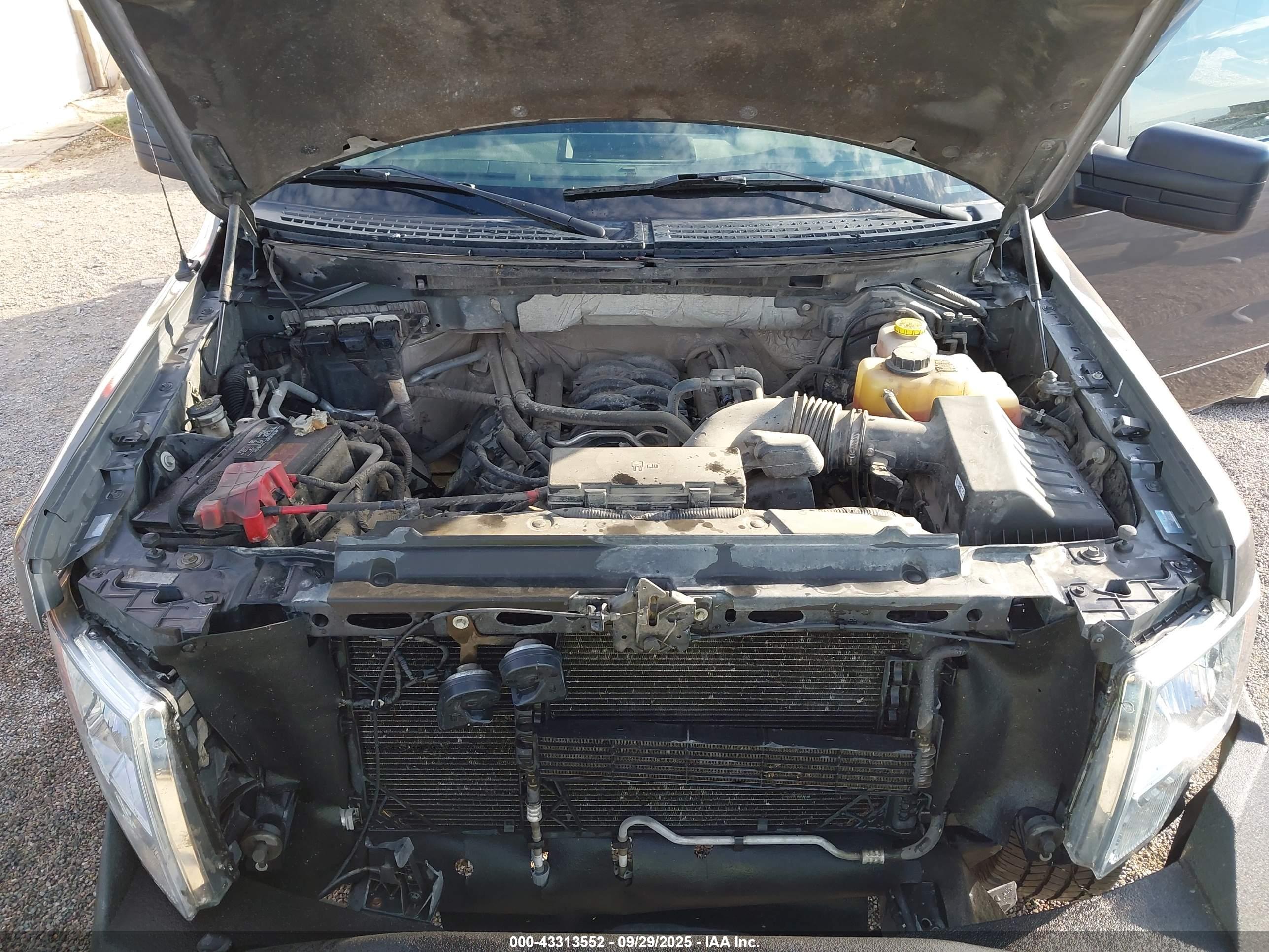 FORD F-150 image 10