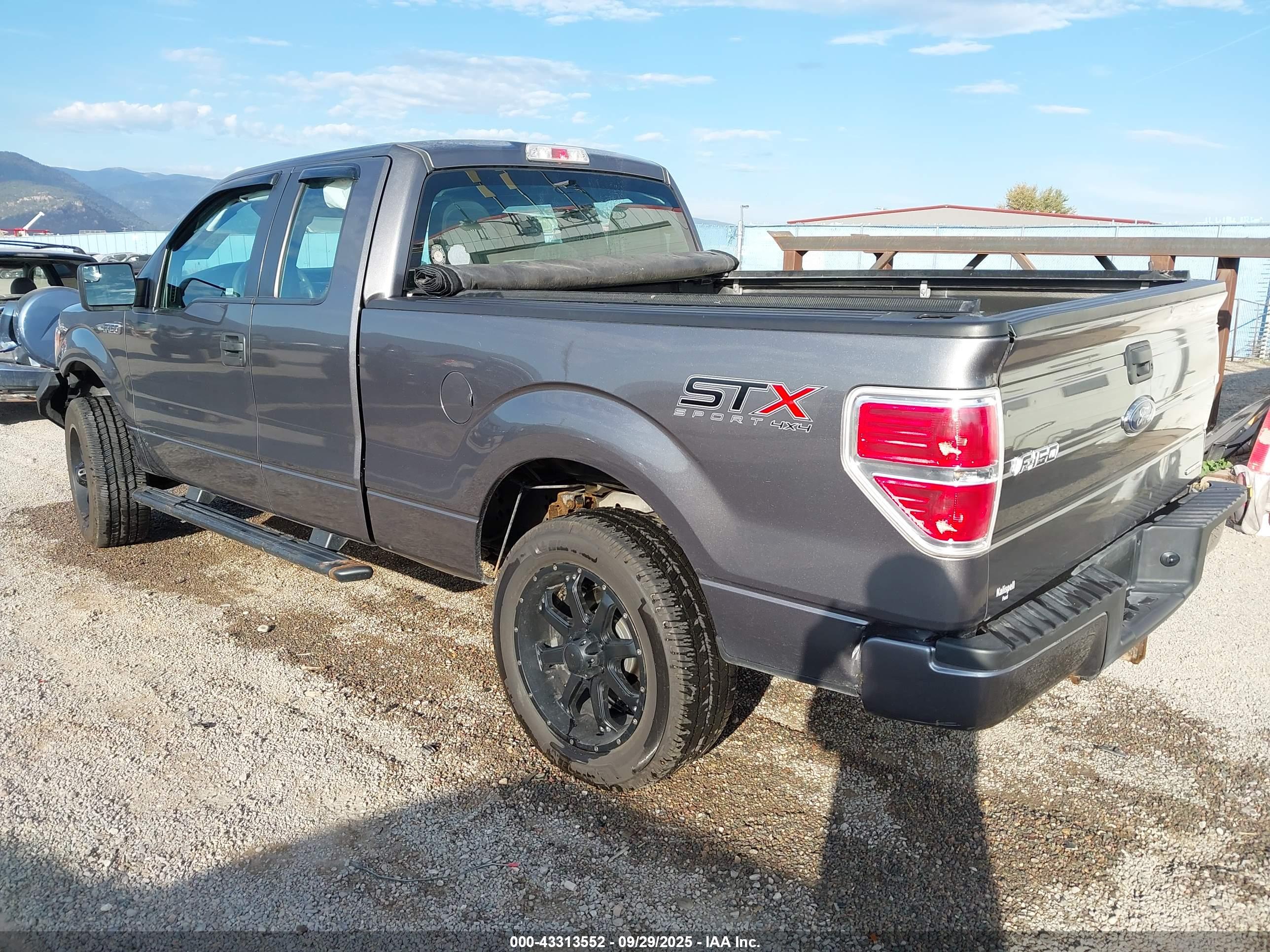 FORD F-150 image 3