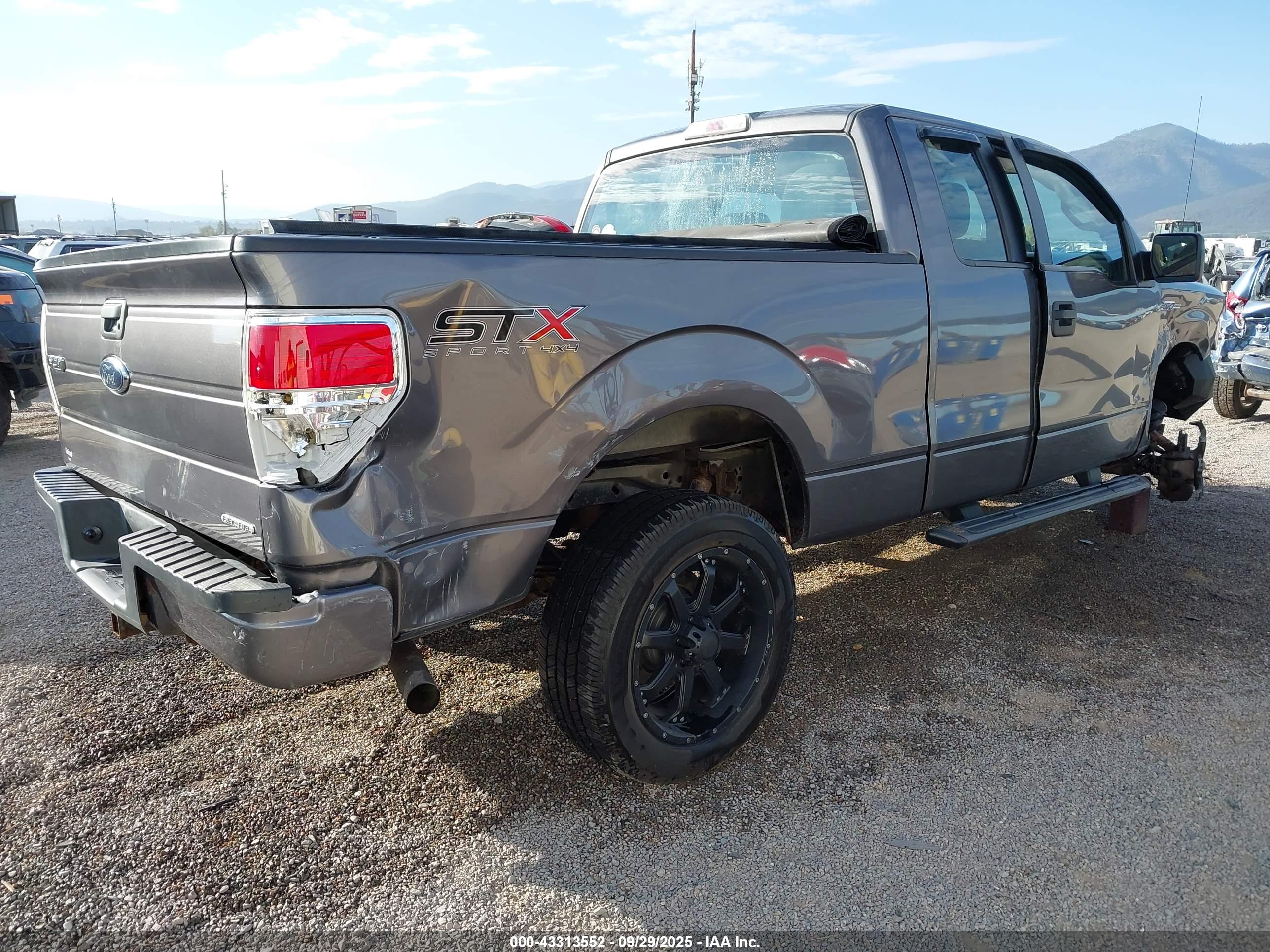 FORD F-150 image 4