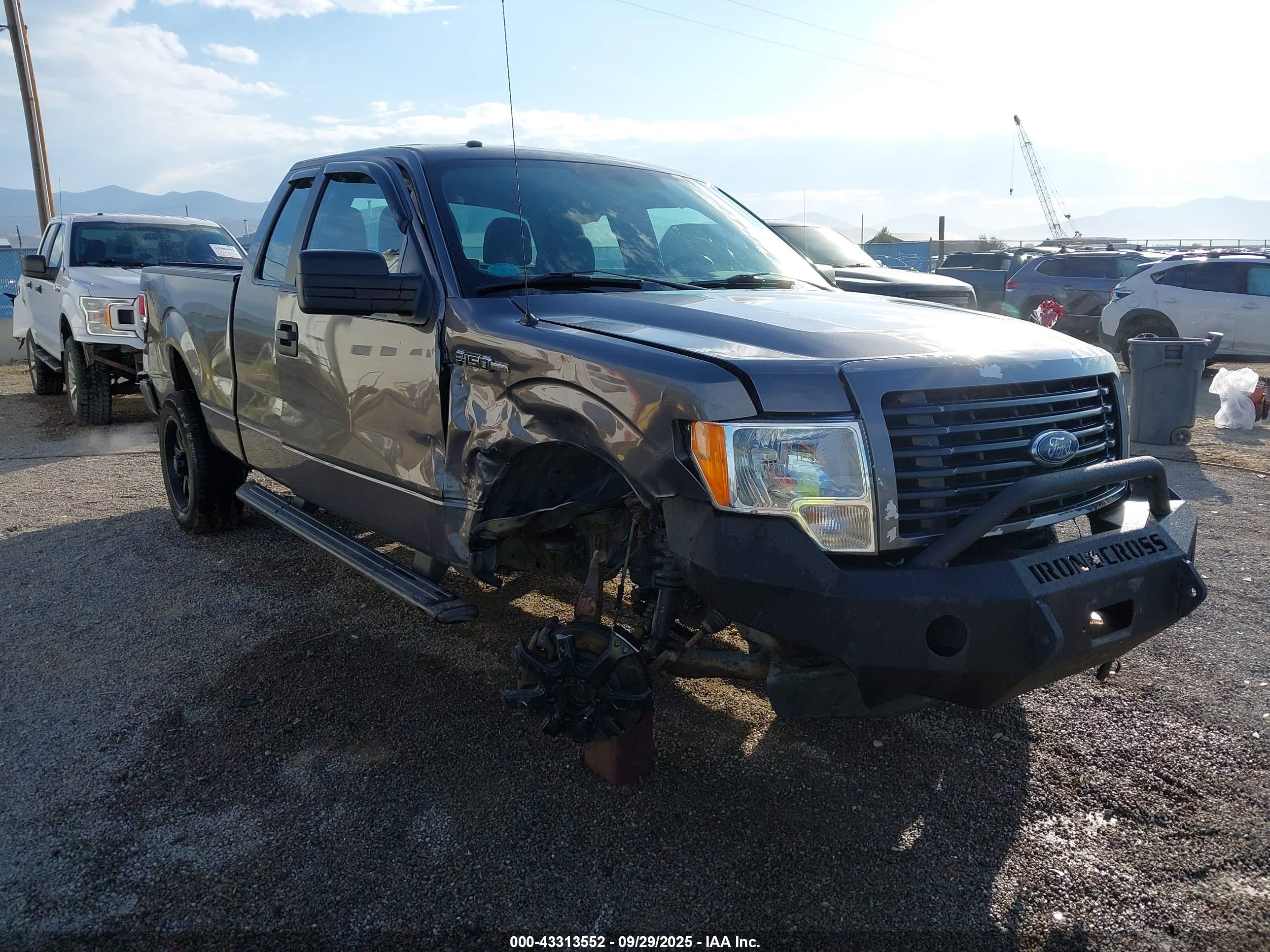 FORD F-150 image 6