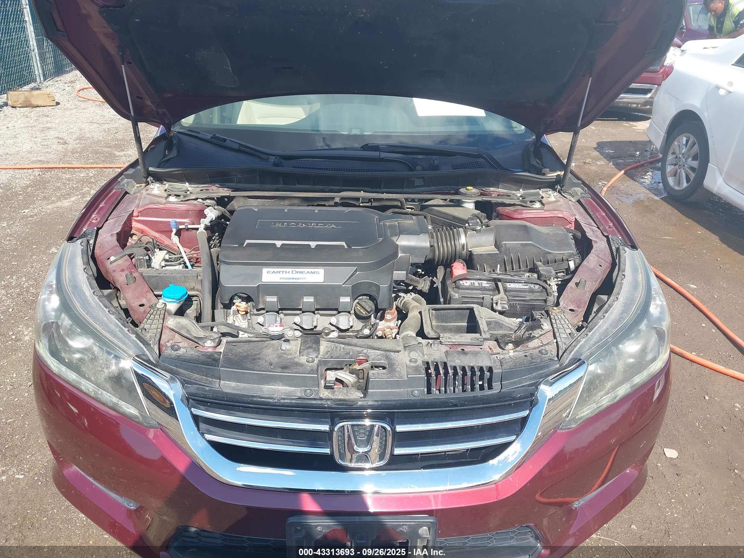 HONDA ACCORD image 10