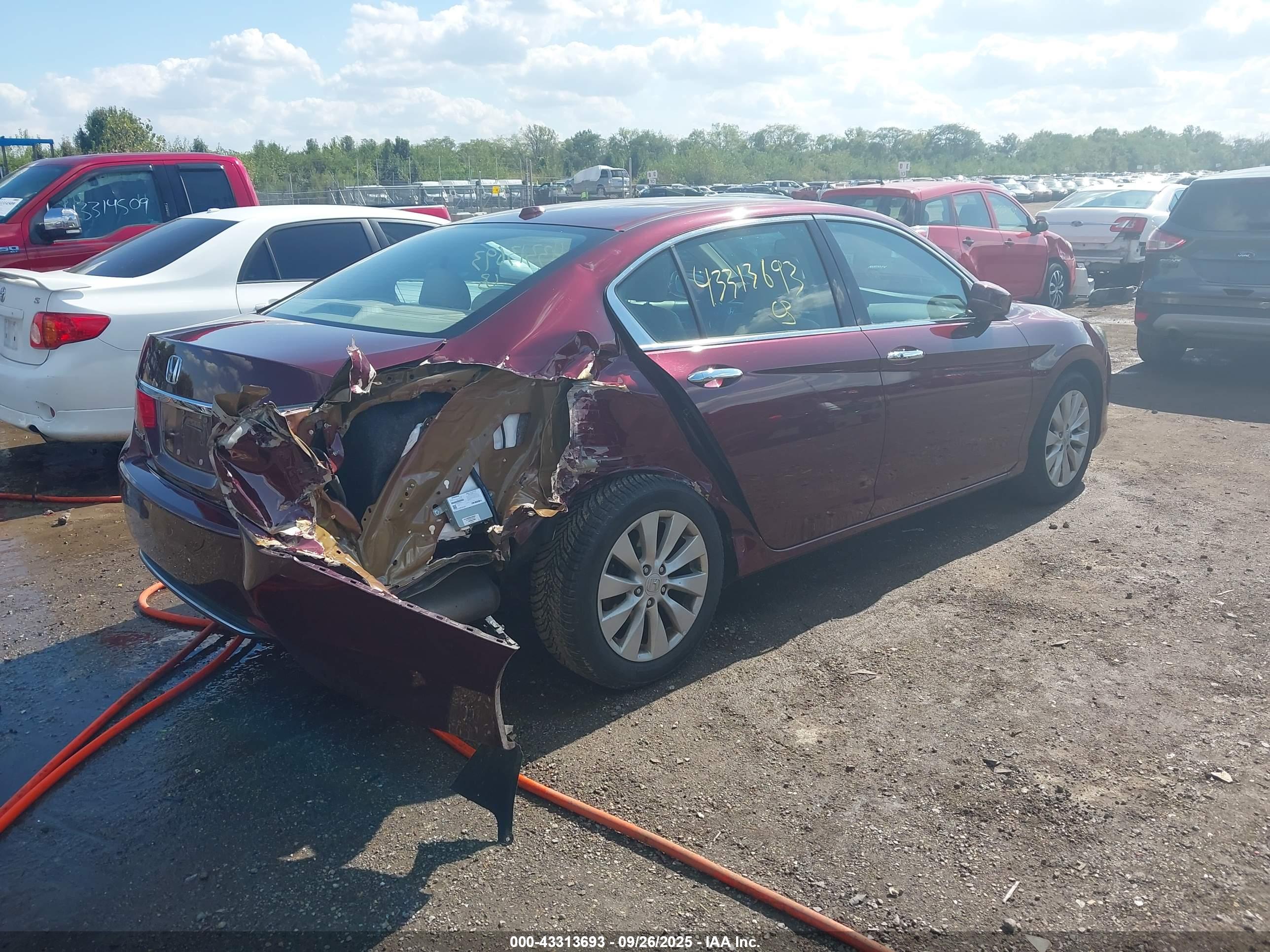 HONDA ACCORD image 4