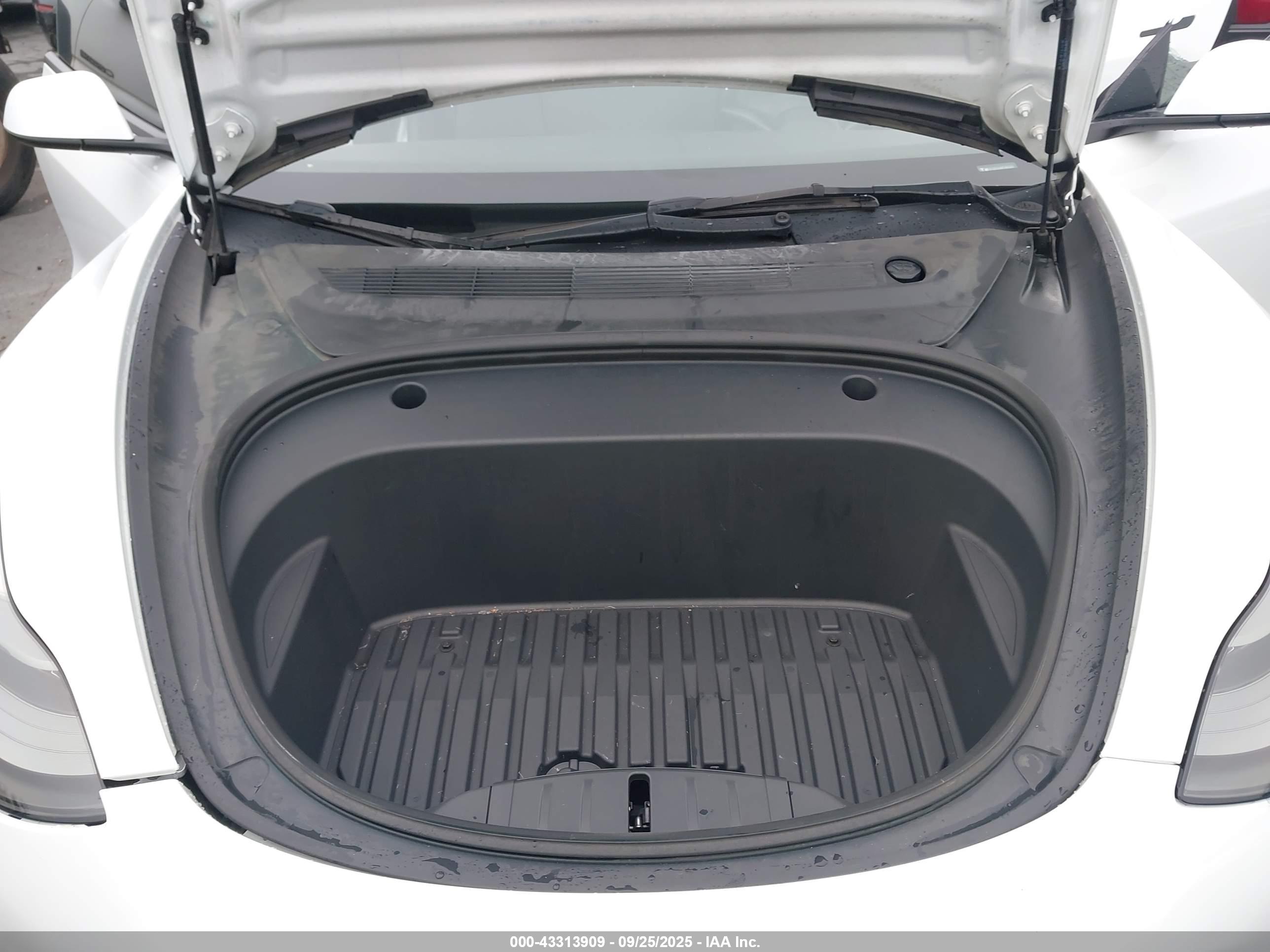 TESLA MODEL image 10