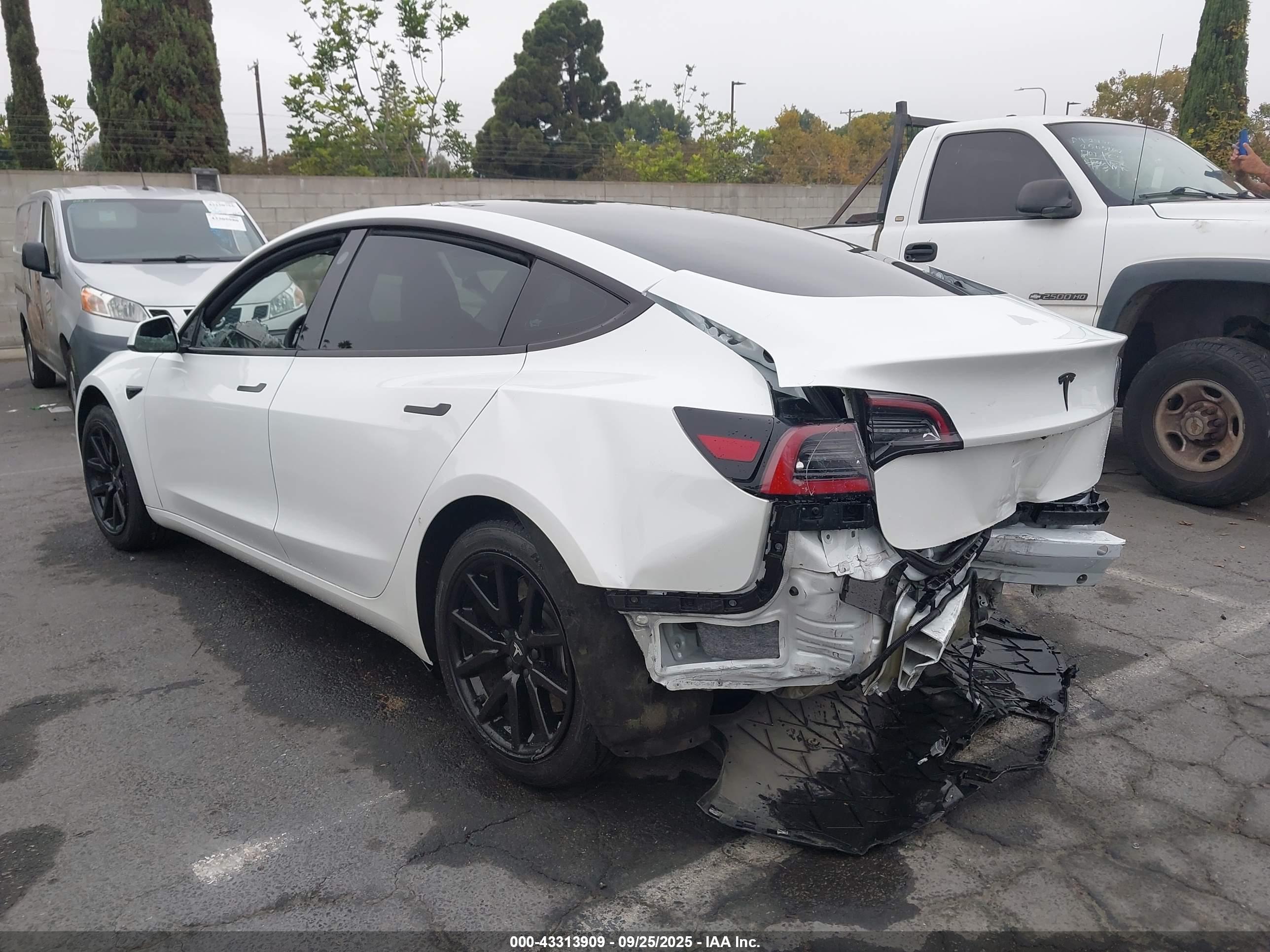 TESLA MODEL image 3