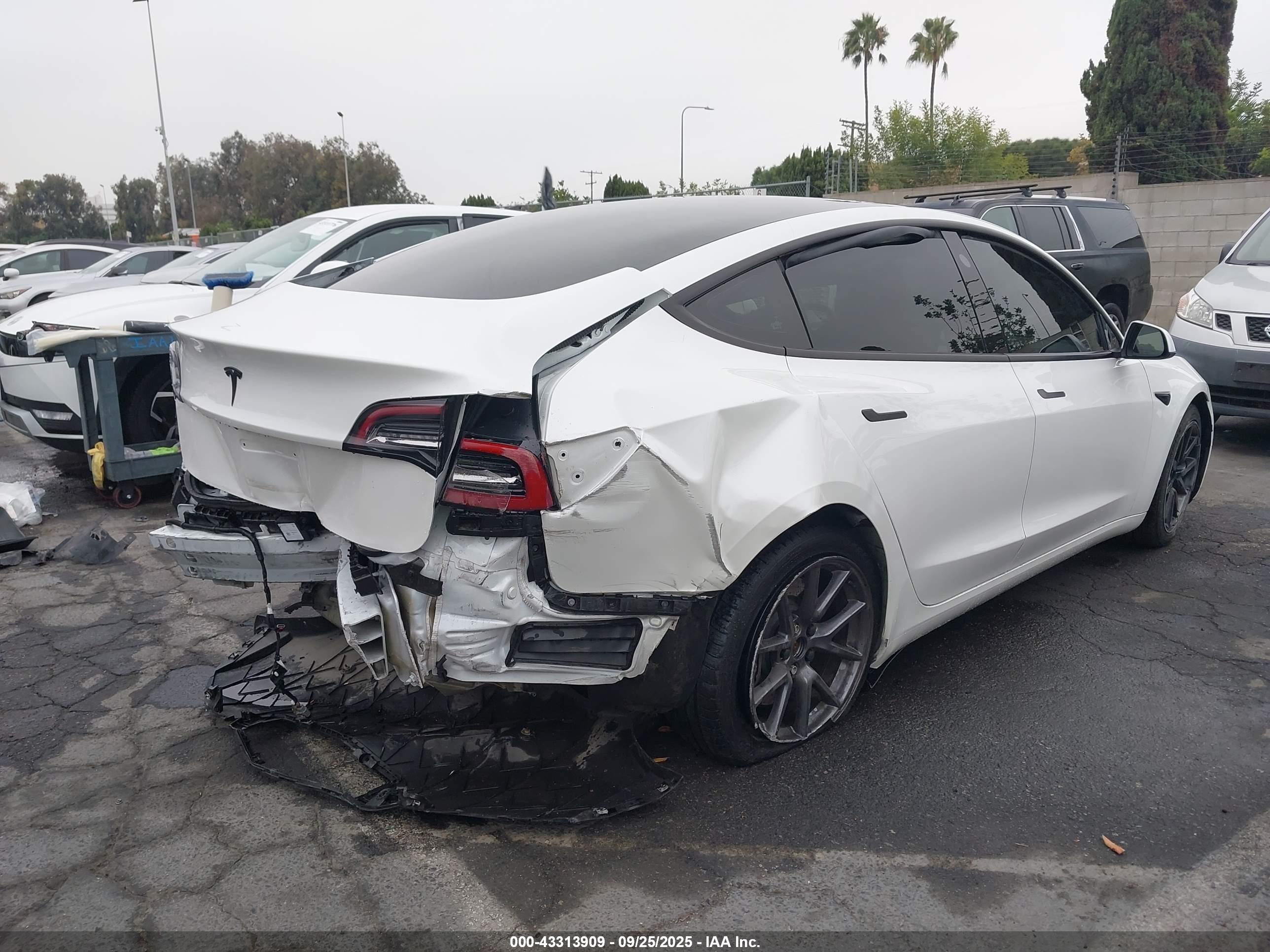 TESLA MODEL image 4