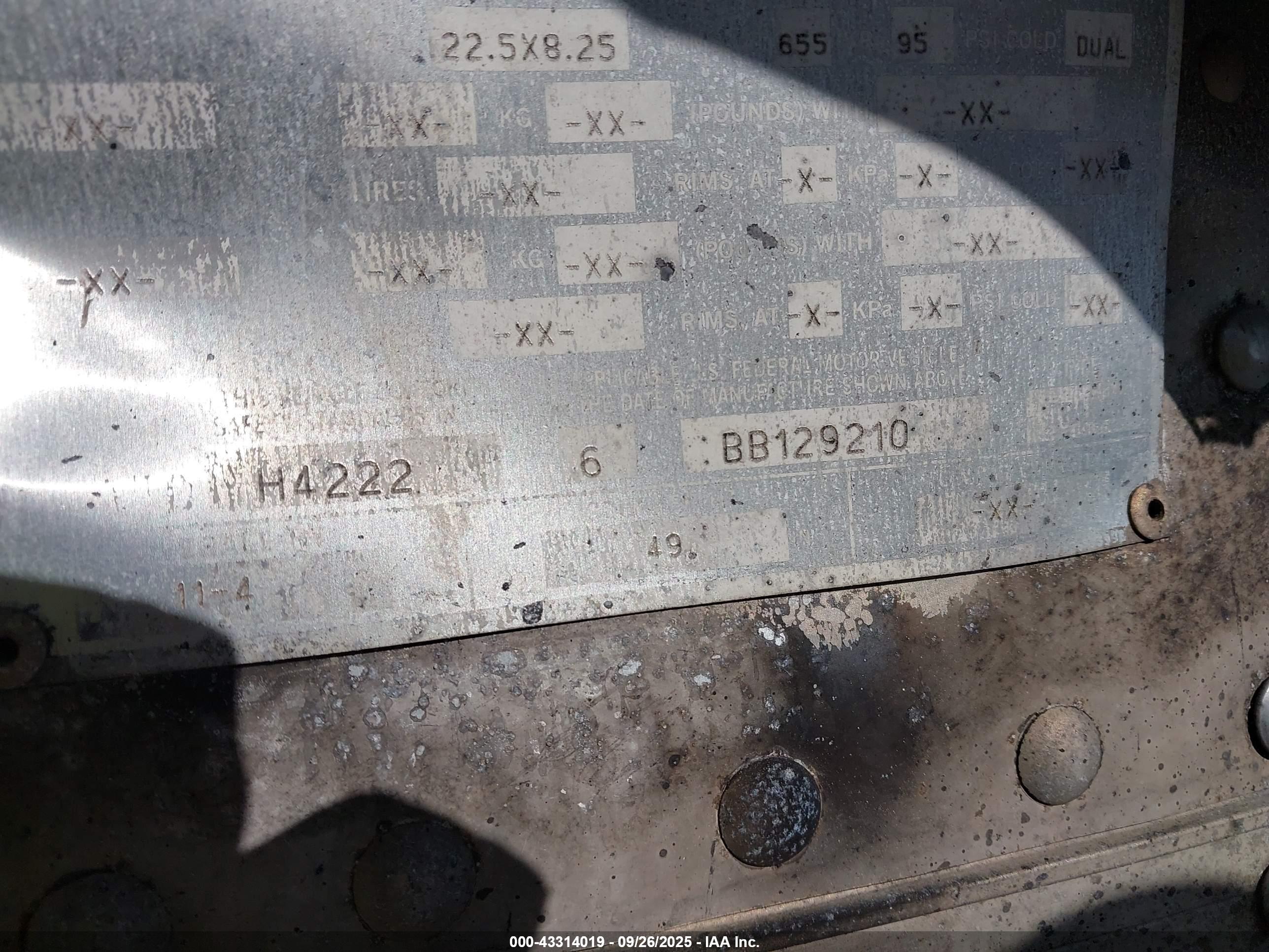TIMPTE GRAIN image 9