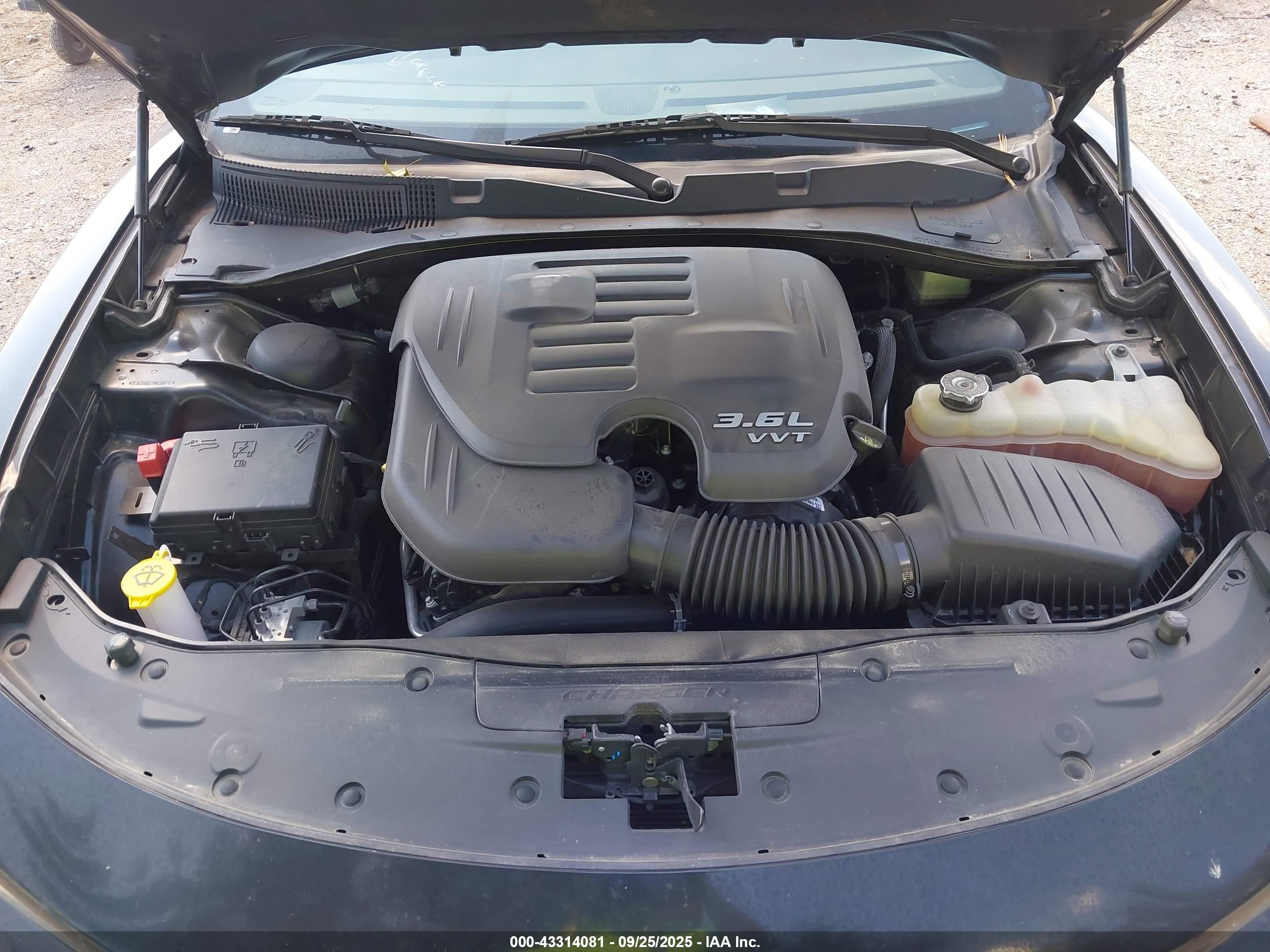 DODGE CHARGER image 10