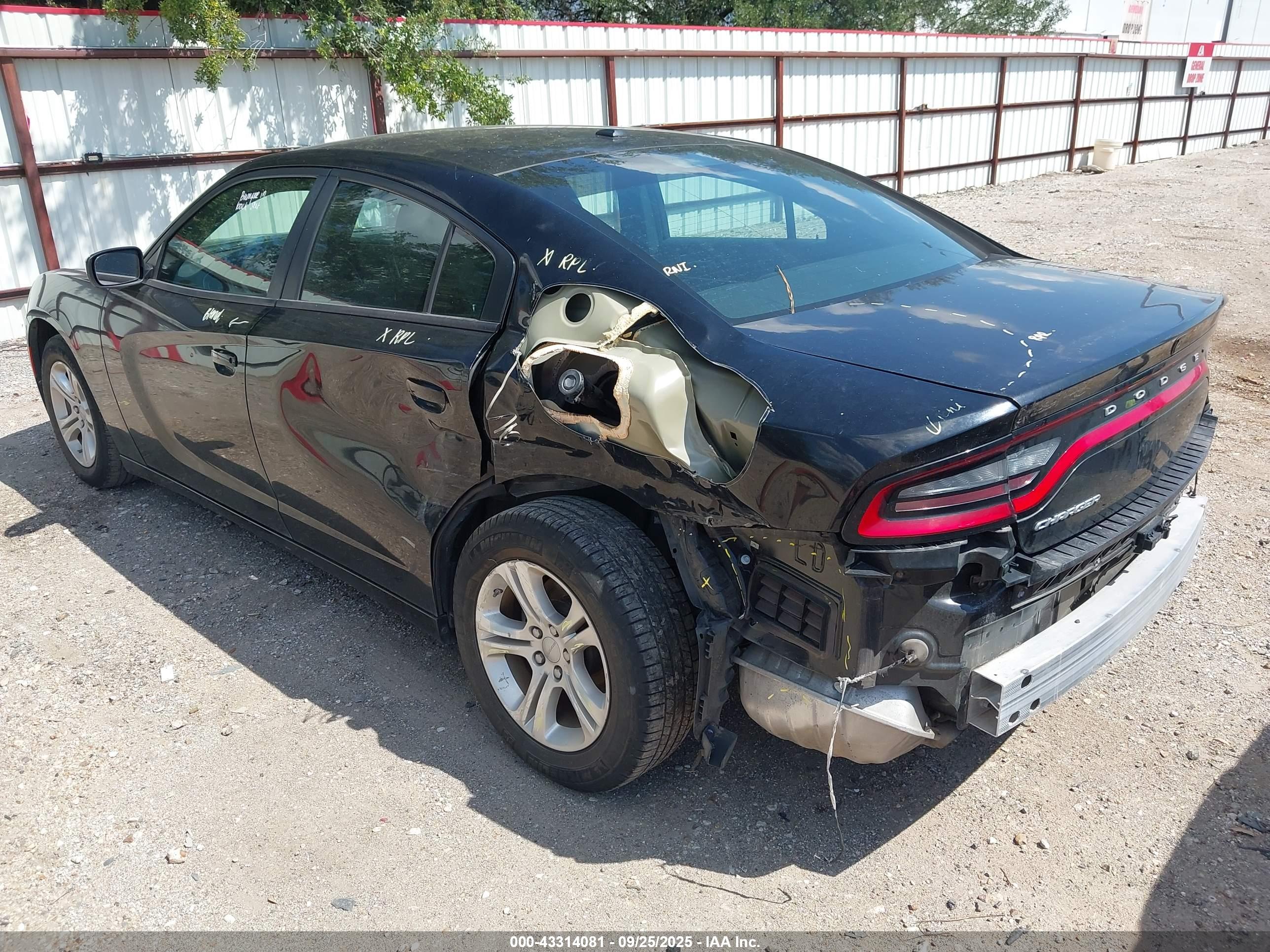 DODGE CHARGER image 3