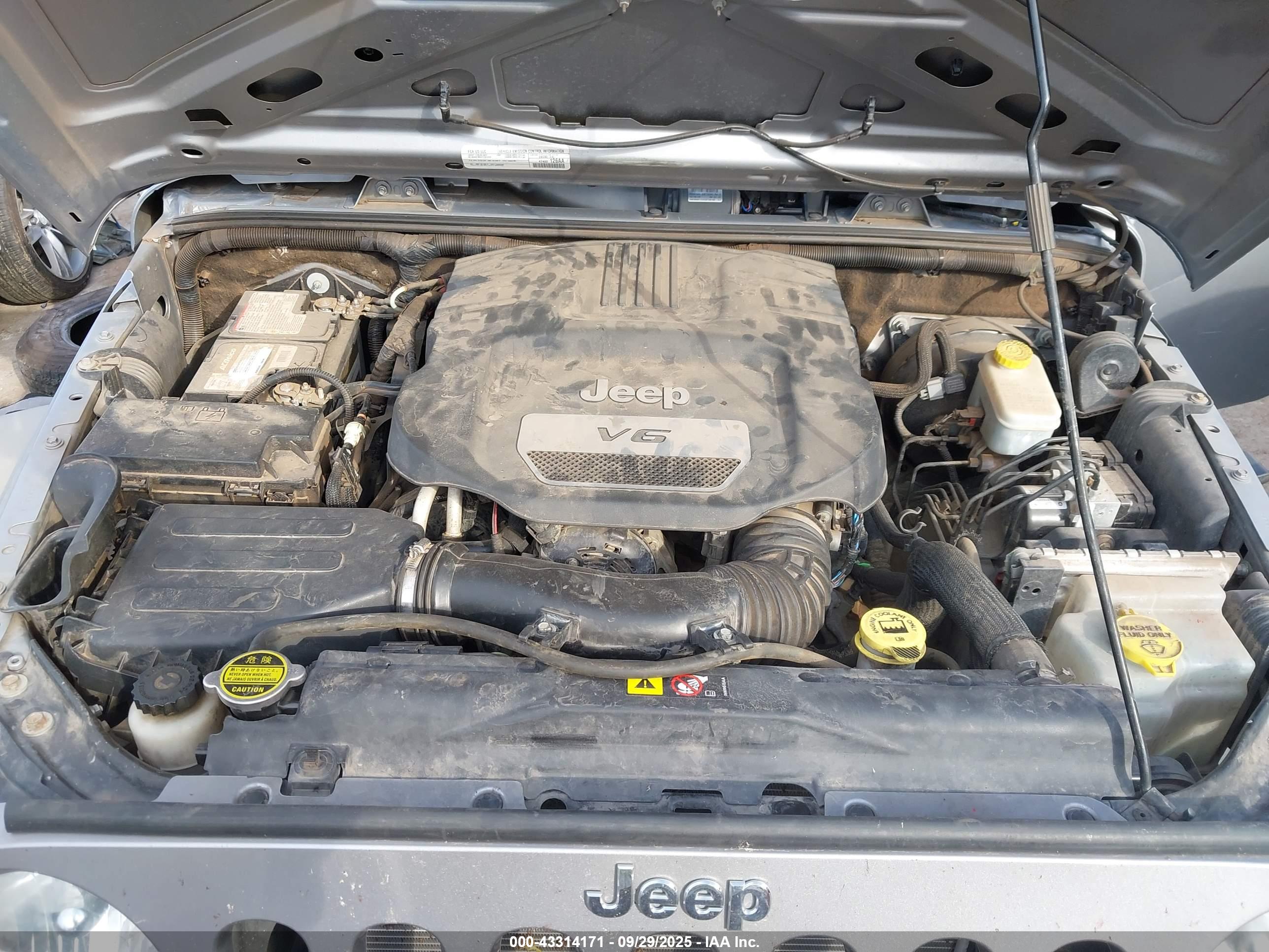 JEEP WRANGLER image 10