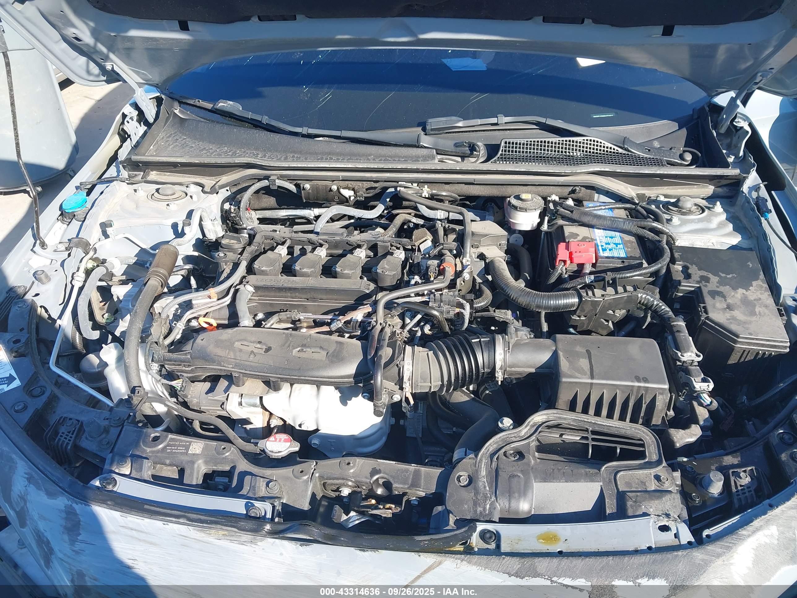 HONDA CIVIC image 10