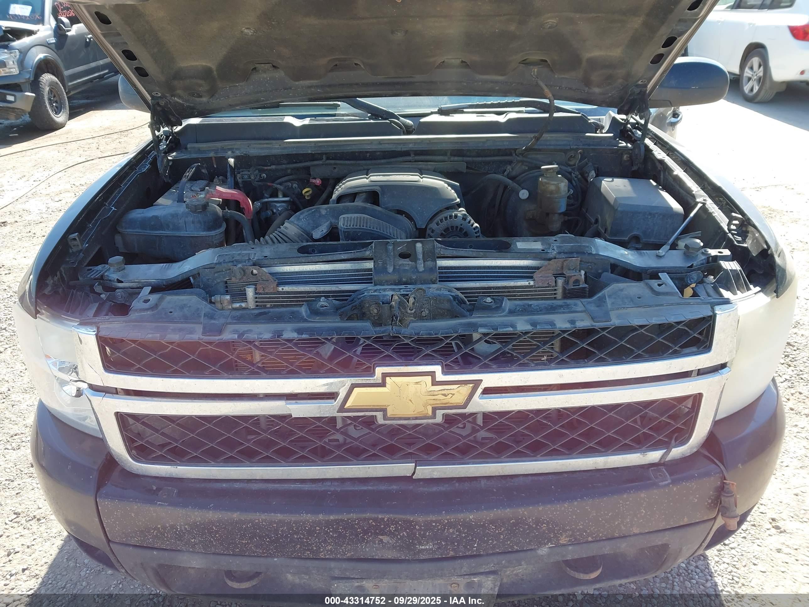 CHEVROLET SILVERADO image 10