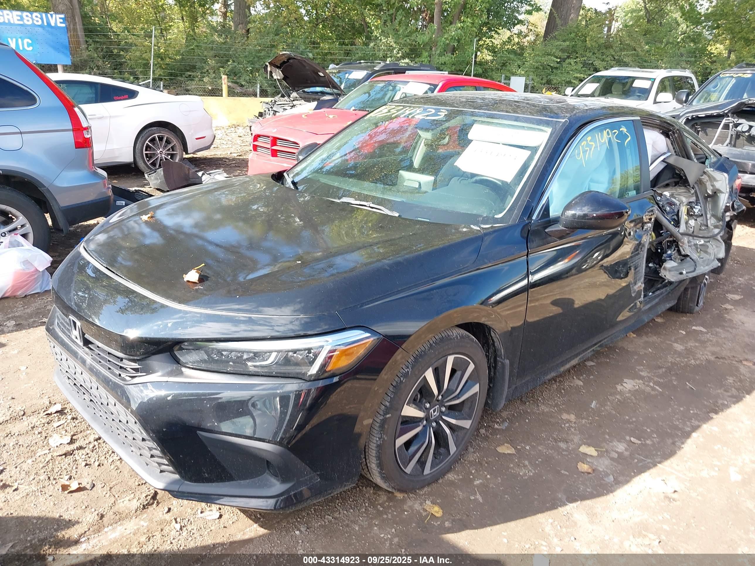 HONDA CIVIC image 2