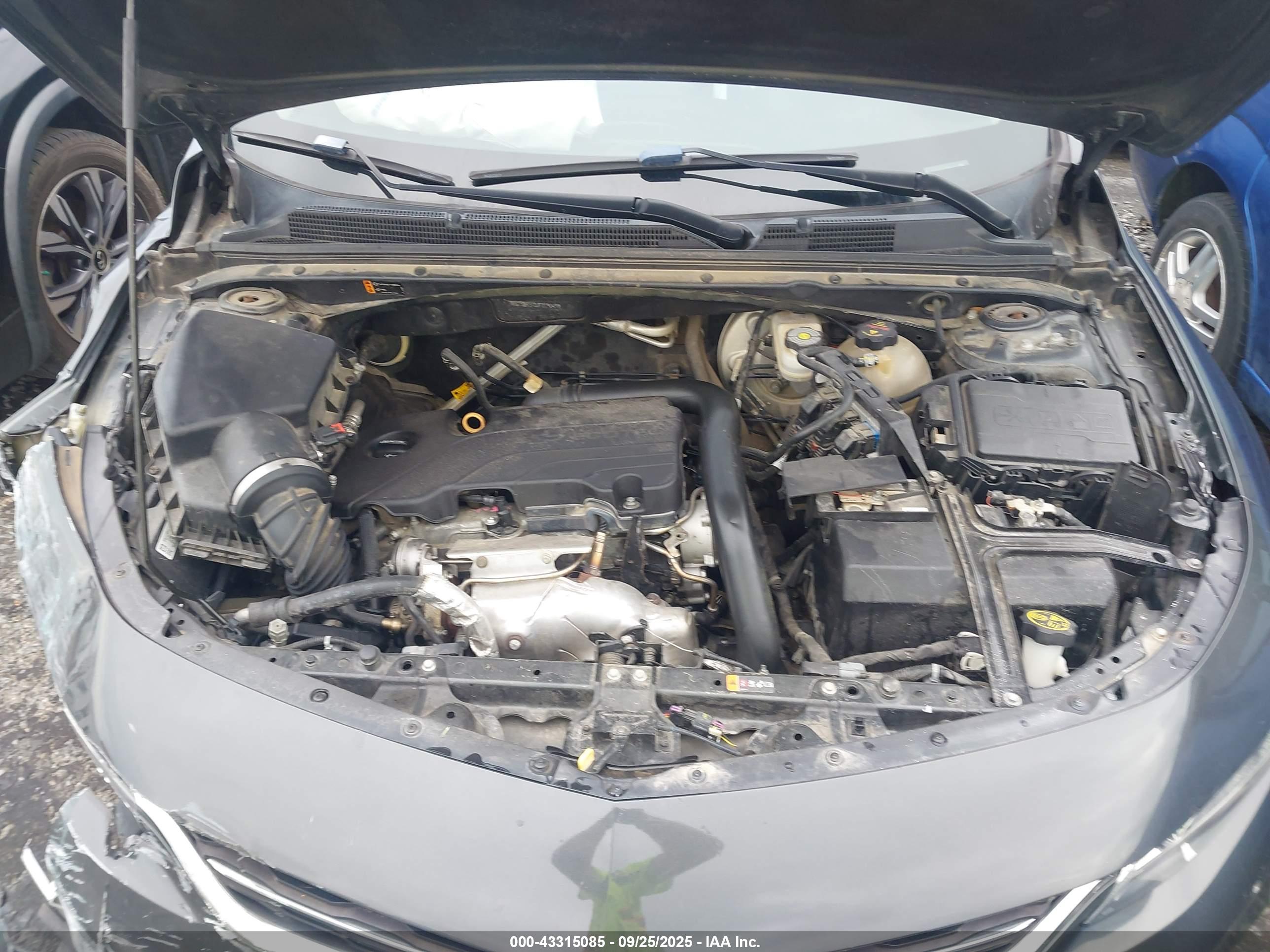 CHEVROLET MALIBU image 10