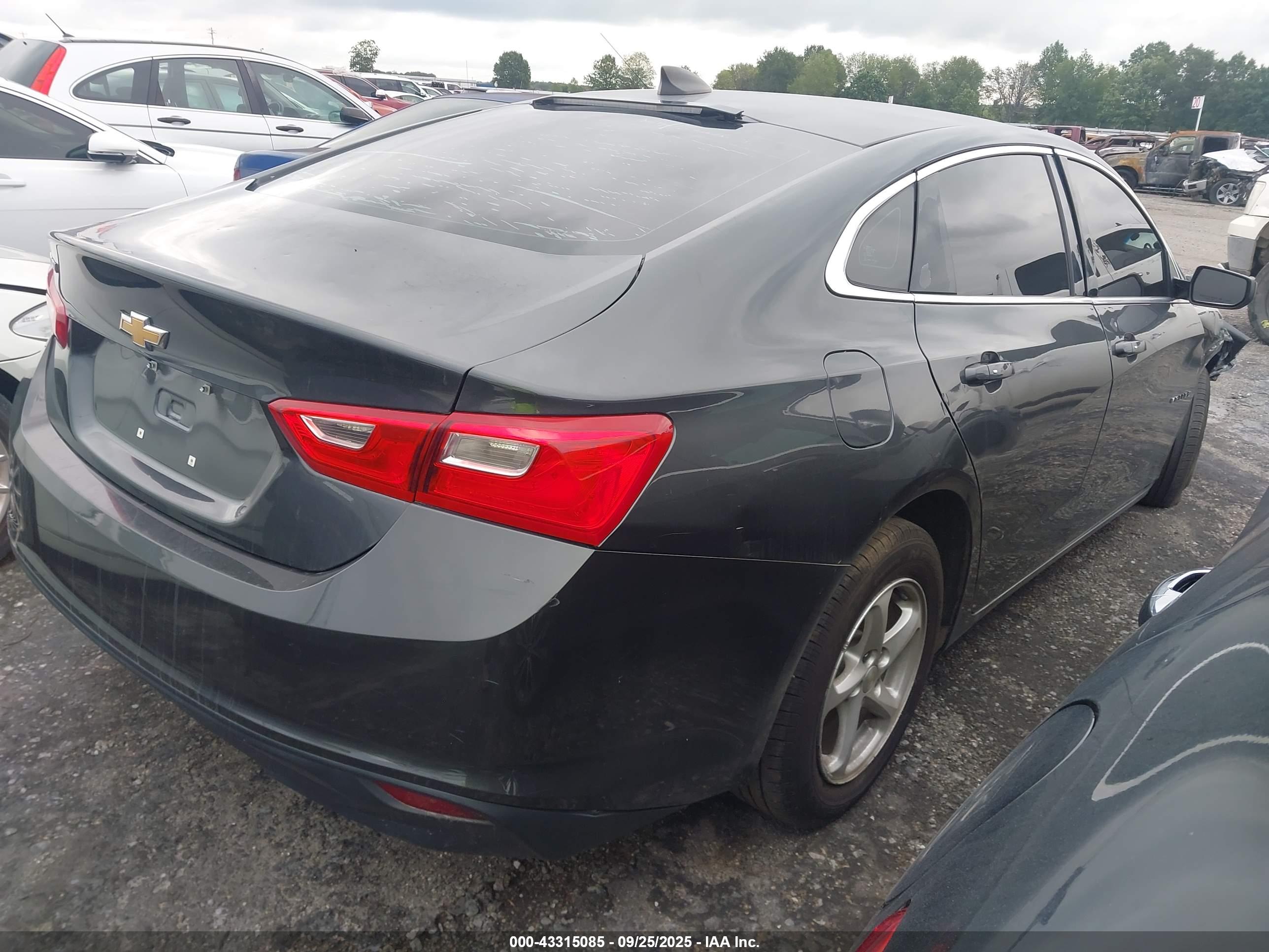 CHEVROLET MALIBU image 4