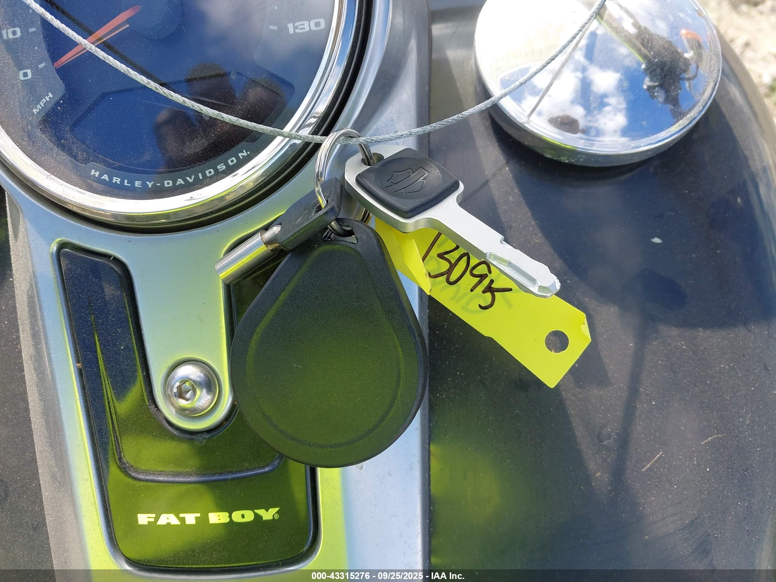 HARLEY-DAVIDSON FLFBS image 11