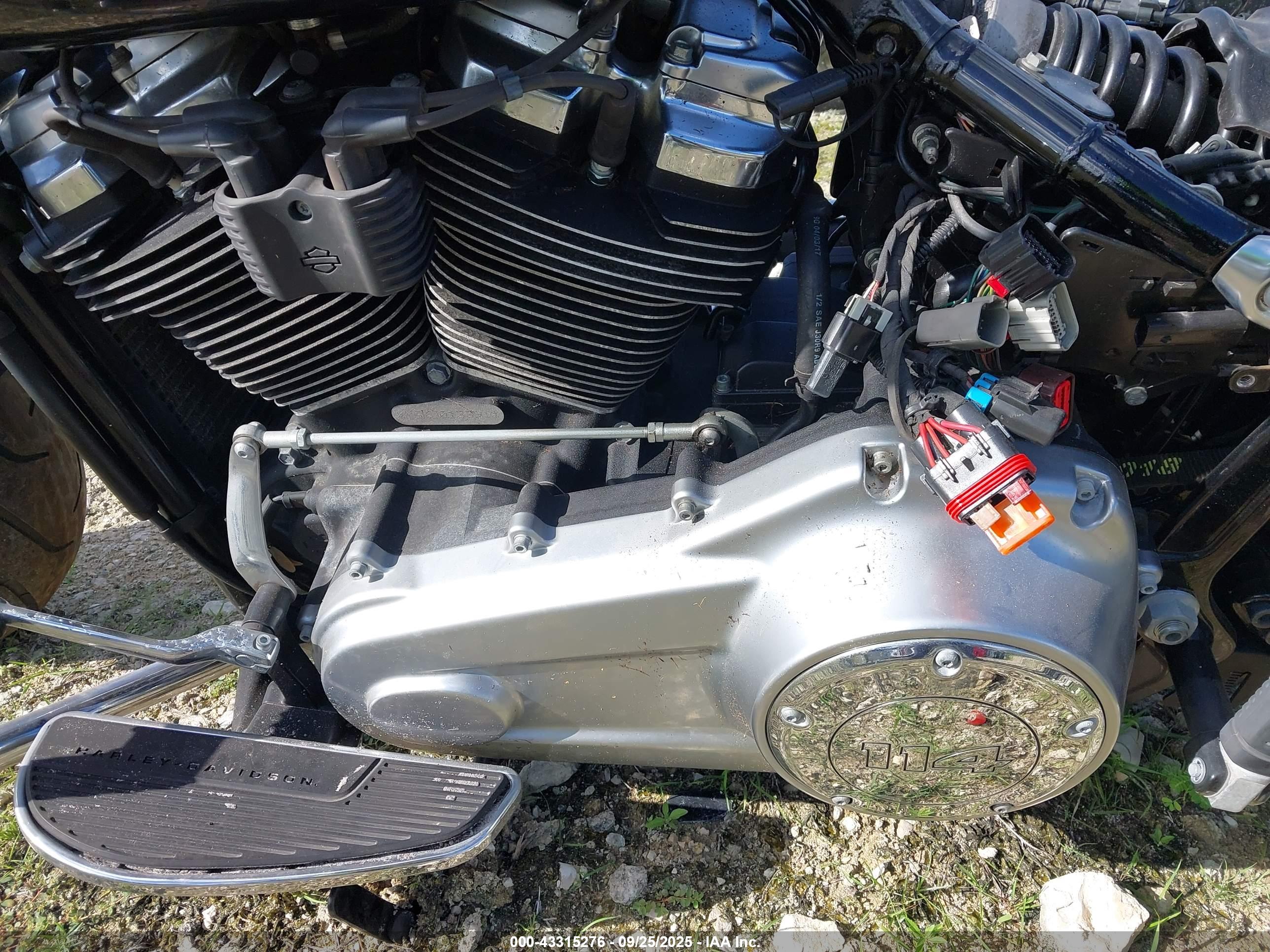 HARLEY-DAVIDSON FLFBS image 9