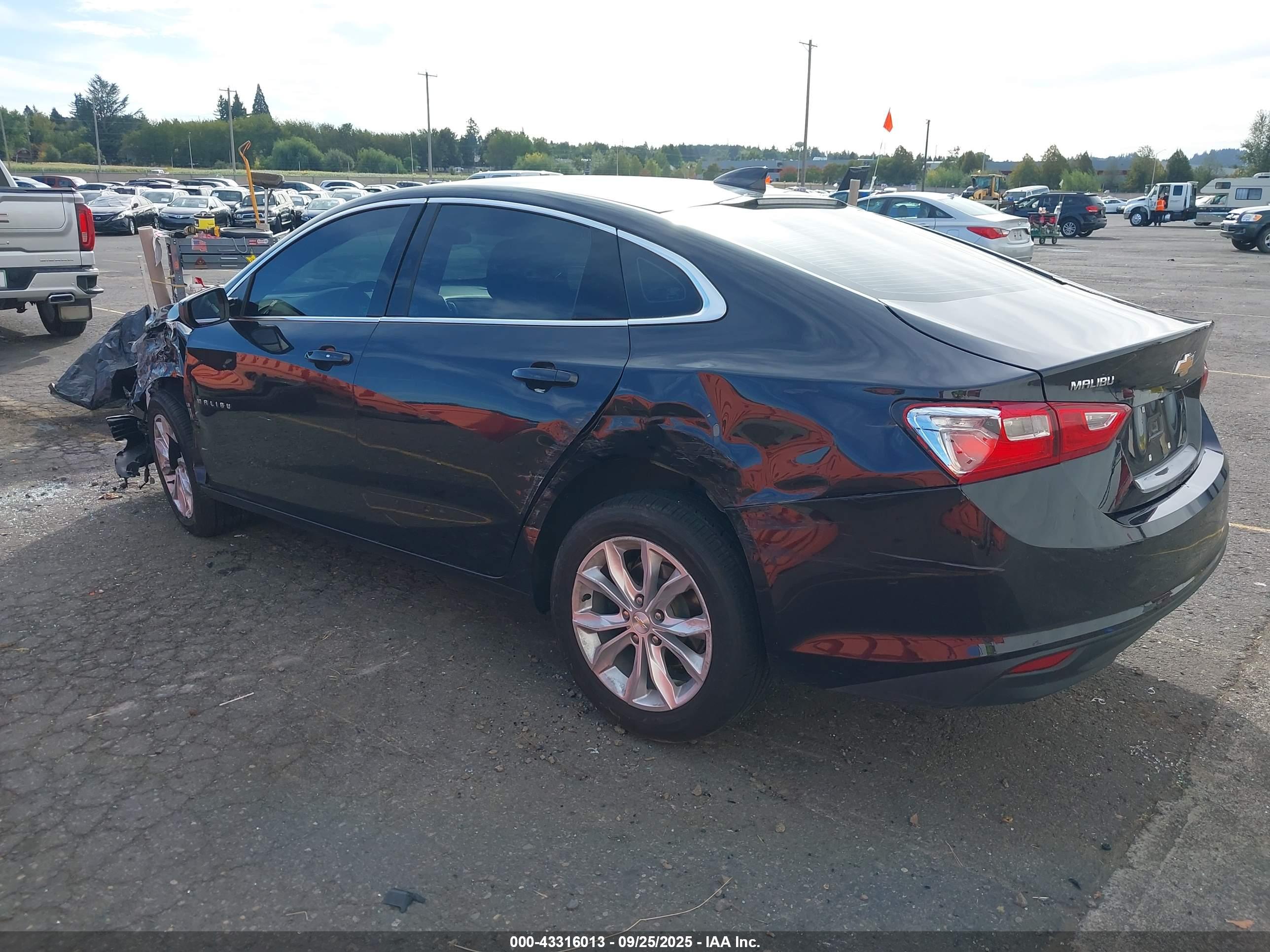 CHEVROLET MALIBU image 3