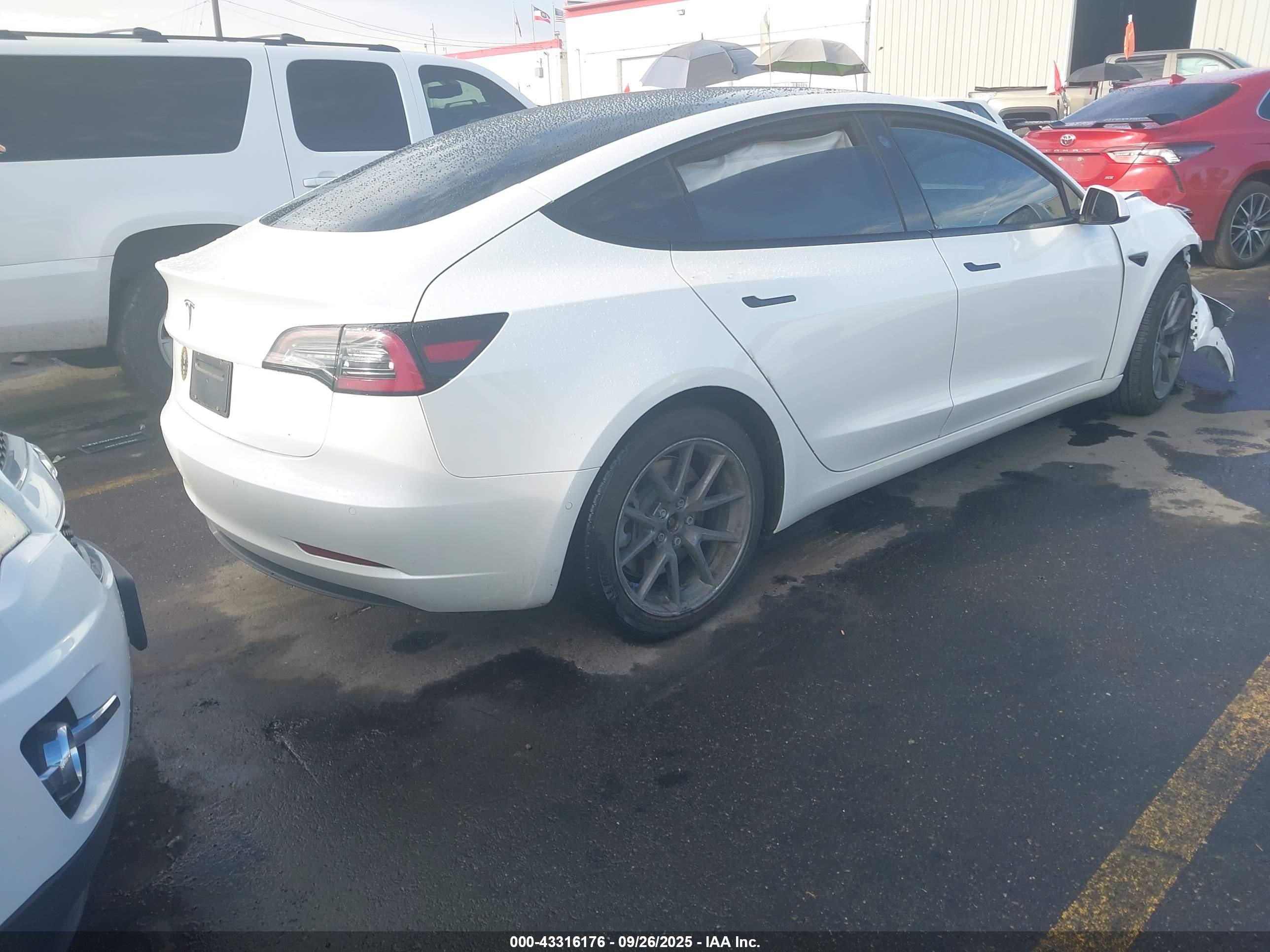 TESLA MODEL image 4