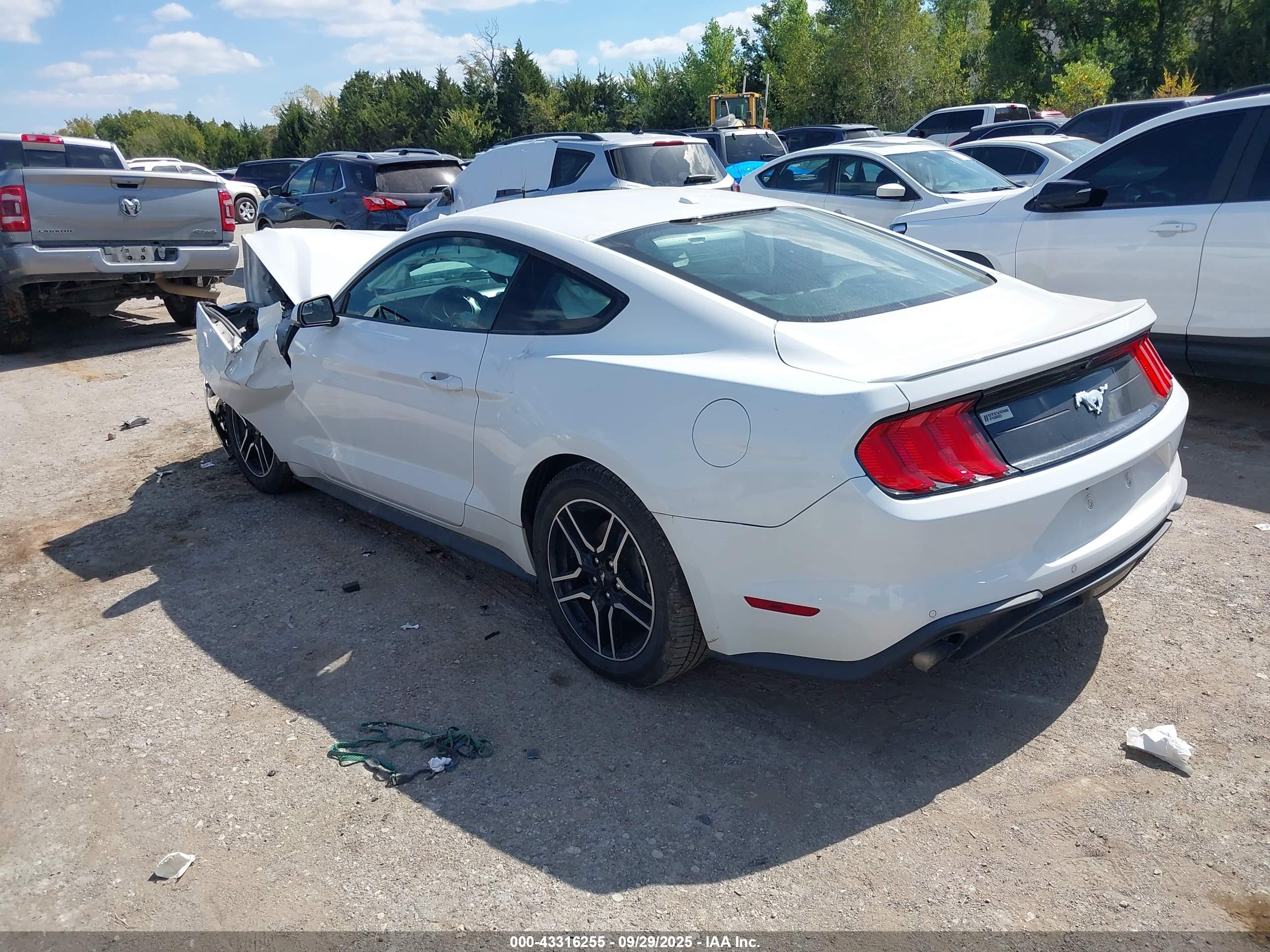 FORD MUSTANG image 3