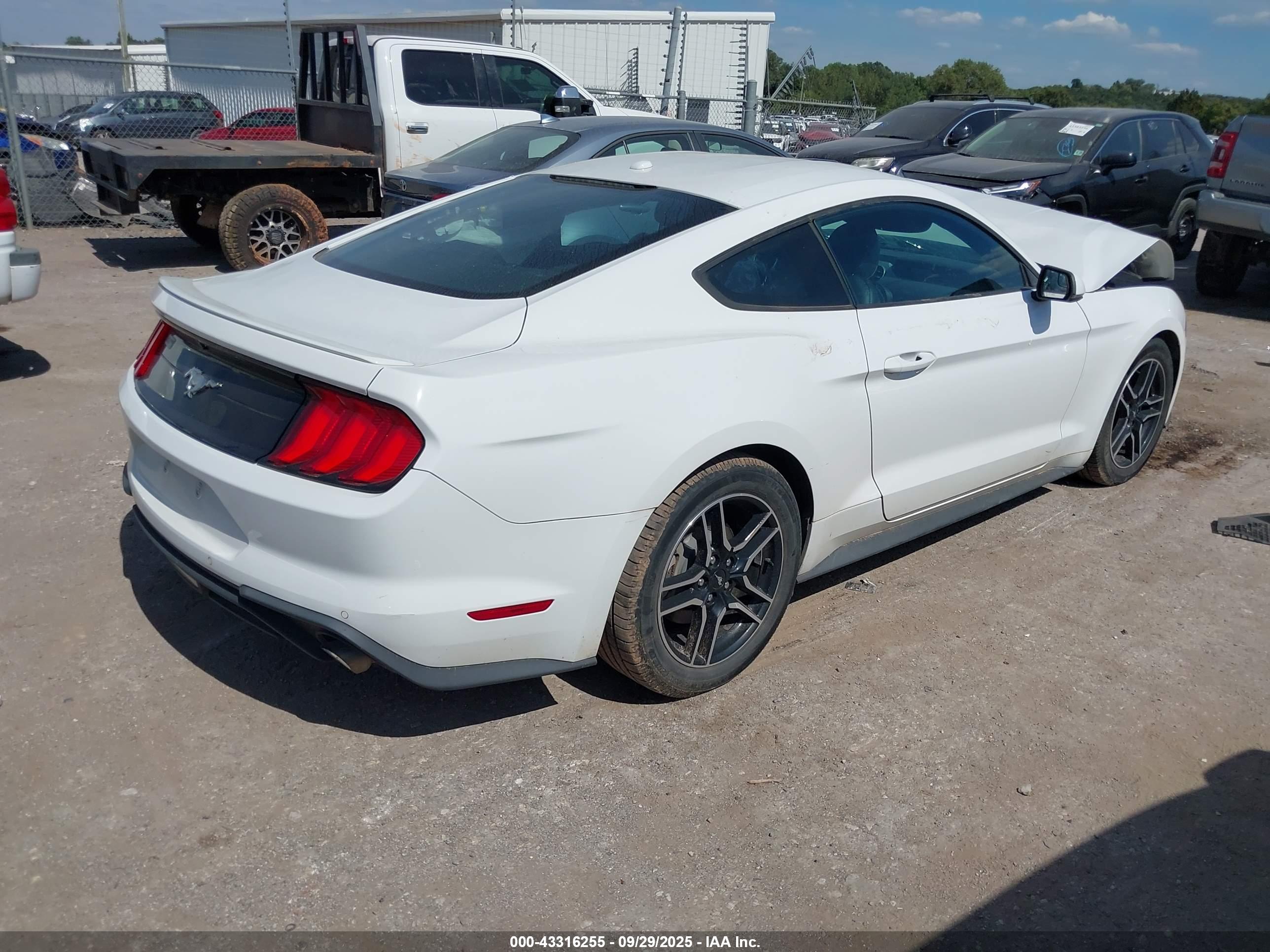 FORD MUSTANG image 4