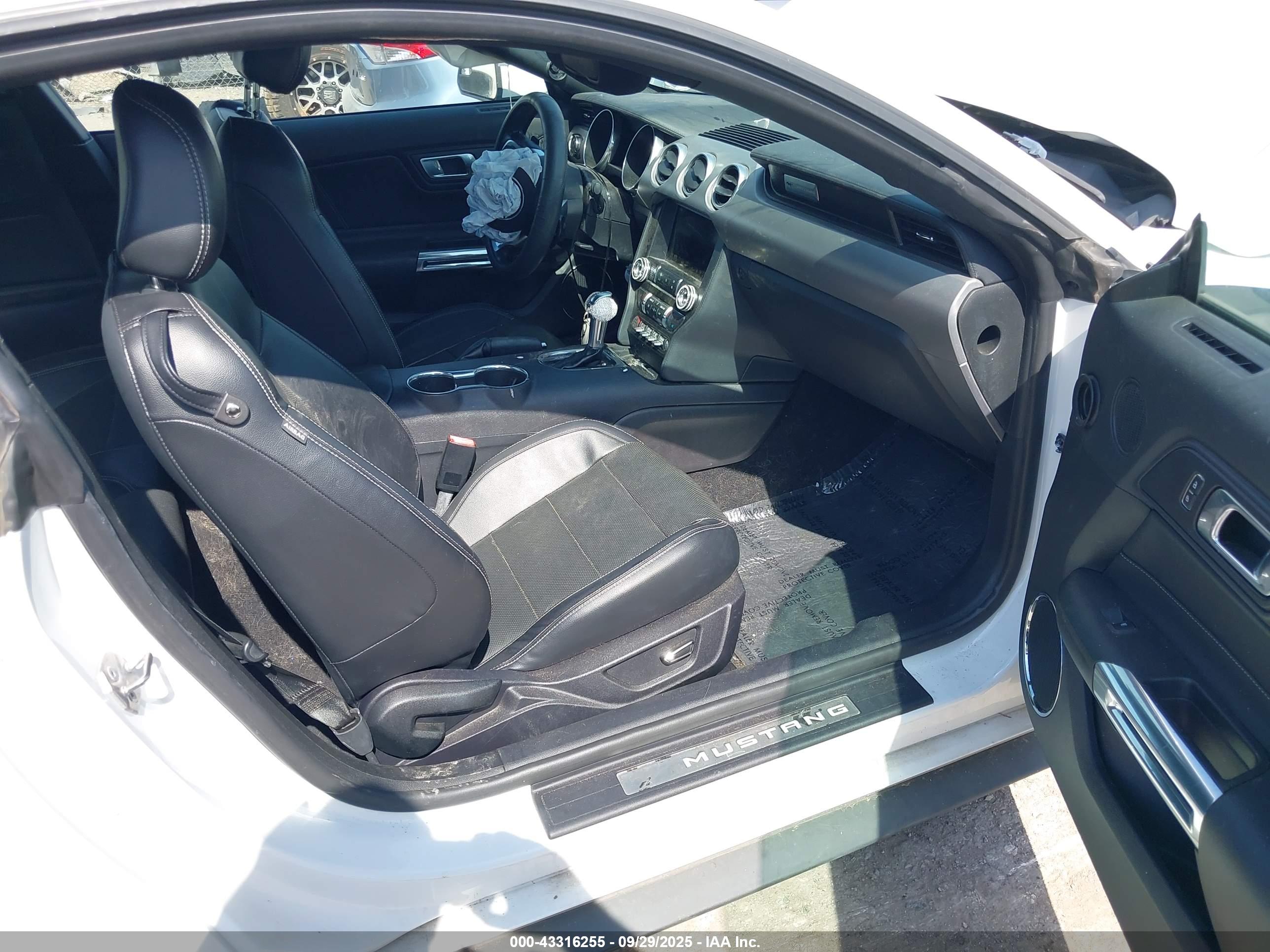 FORD MUSTANG image 5
