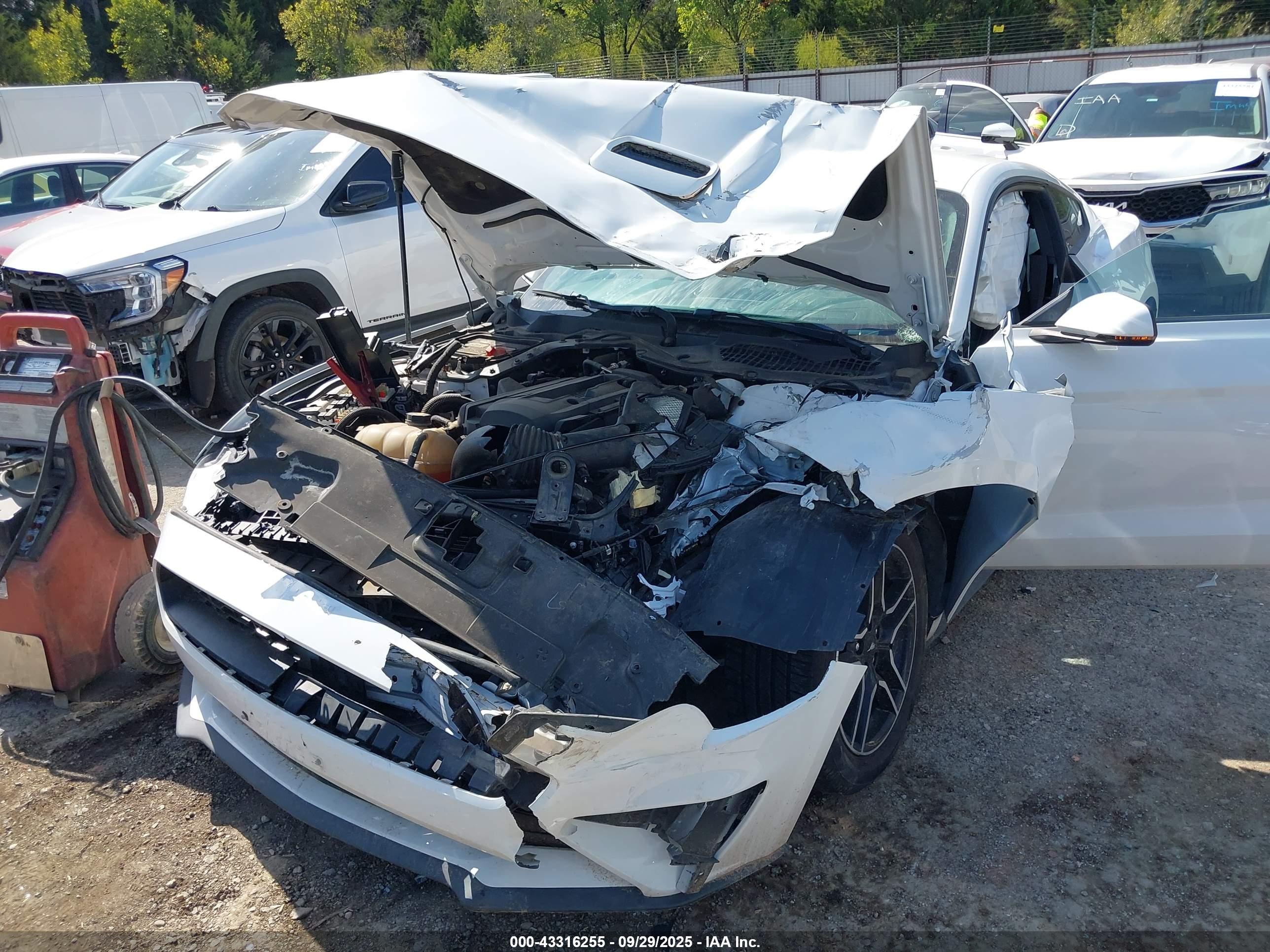 FORD MUSTANG image 6