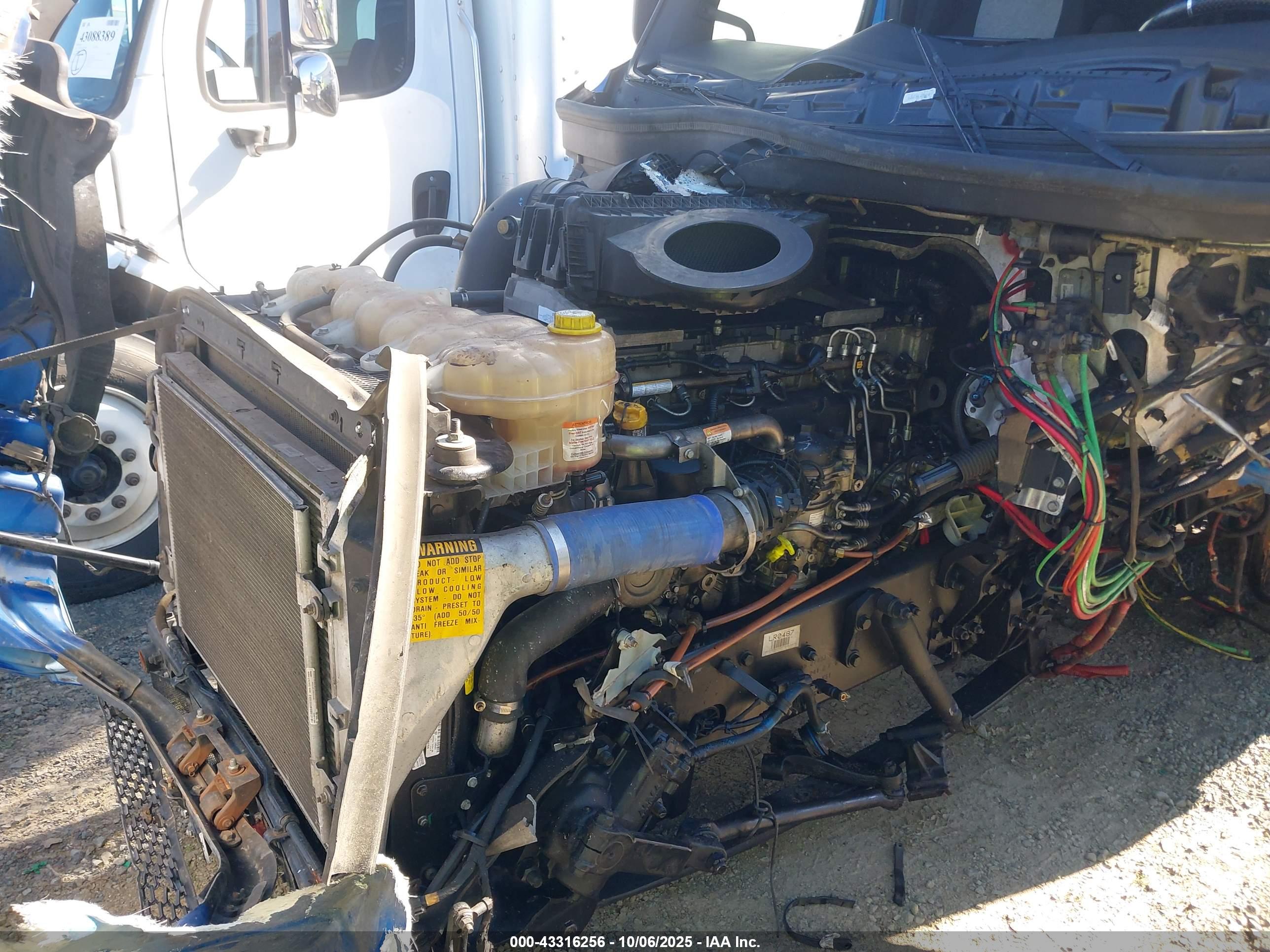 FREIGHTLINER NEW image 10