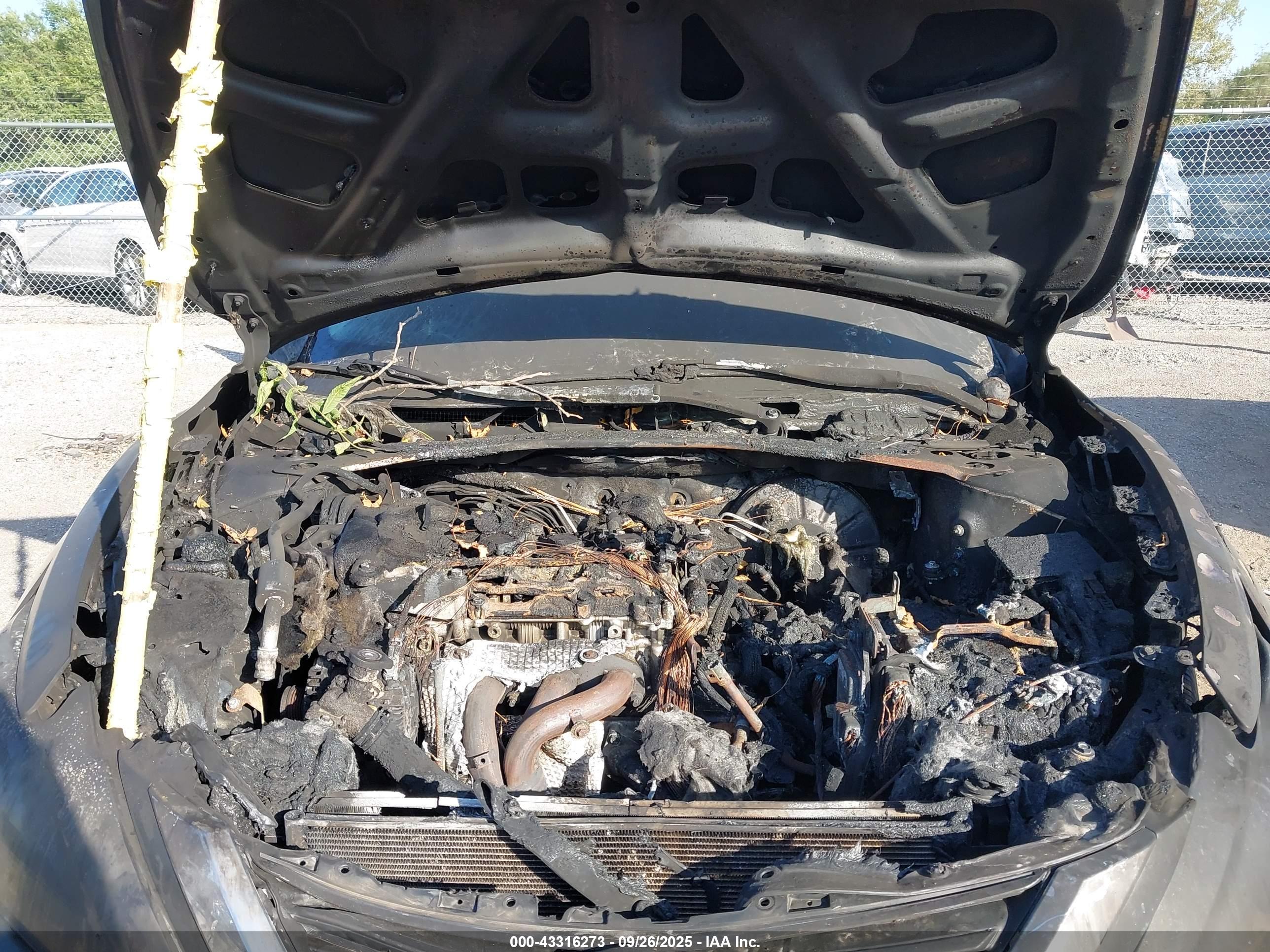 NISSAN ALTIMA image 10
