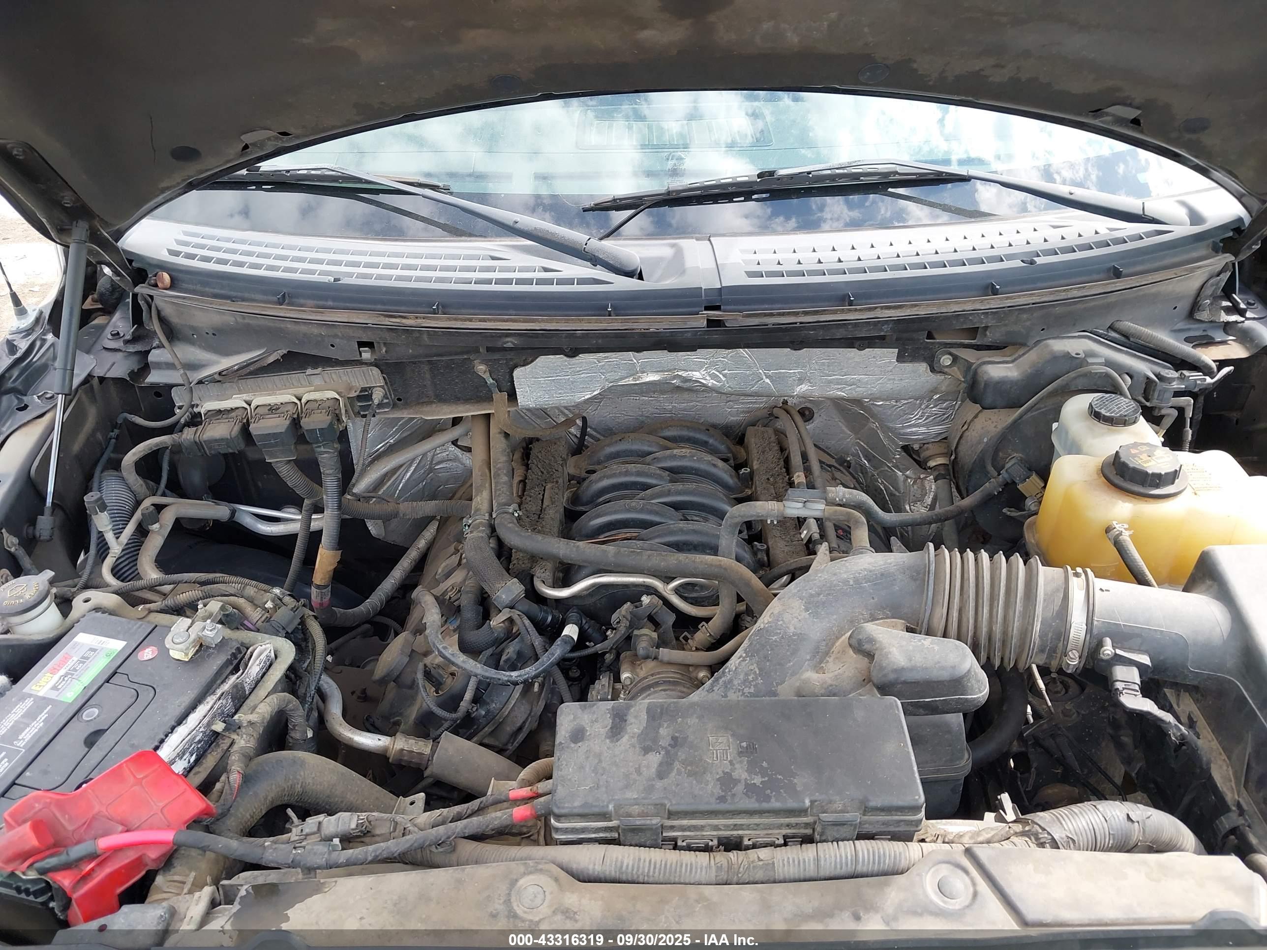 FORD F-150 image 10