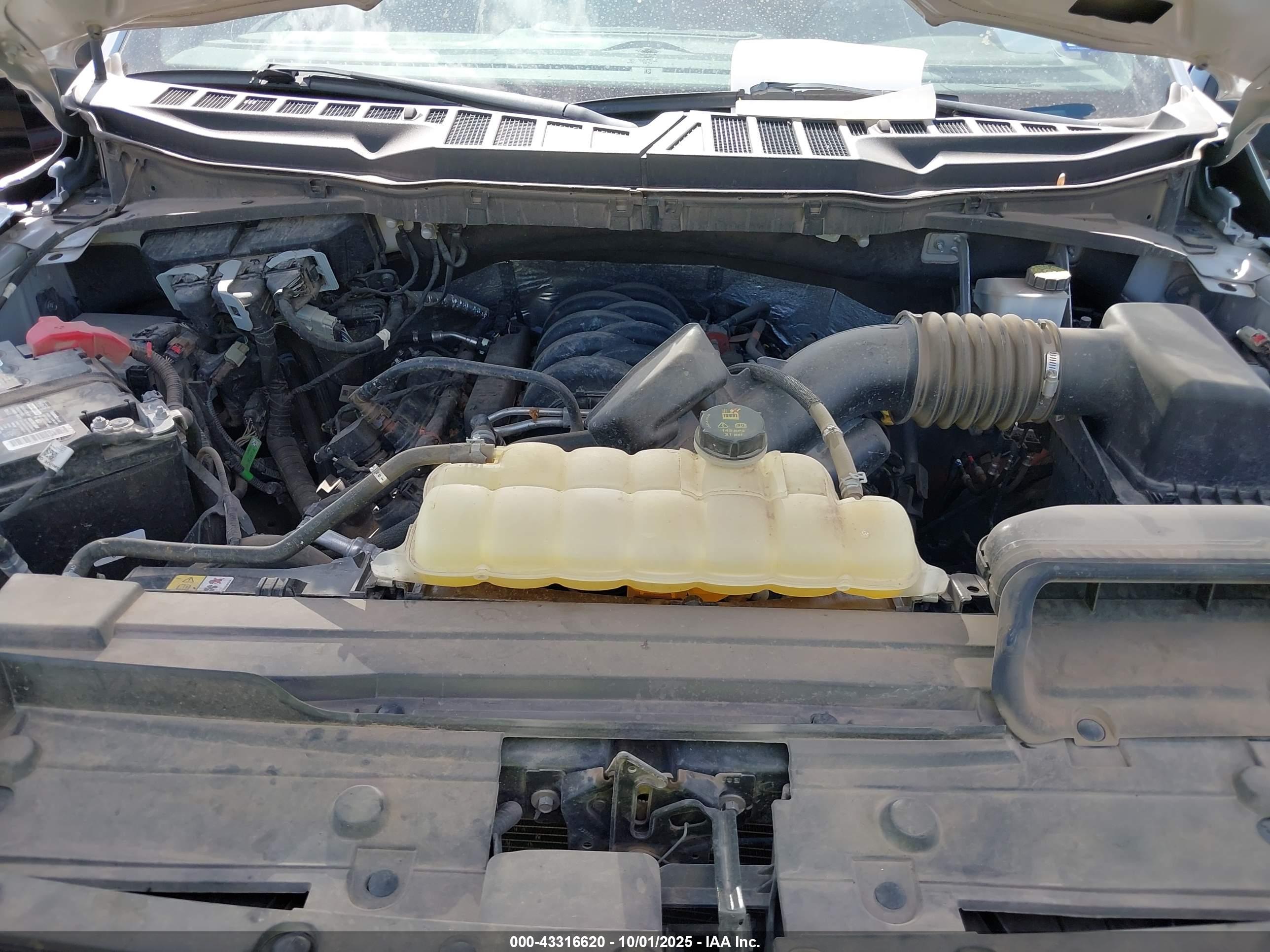 FORD F-150 image 10