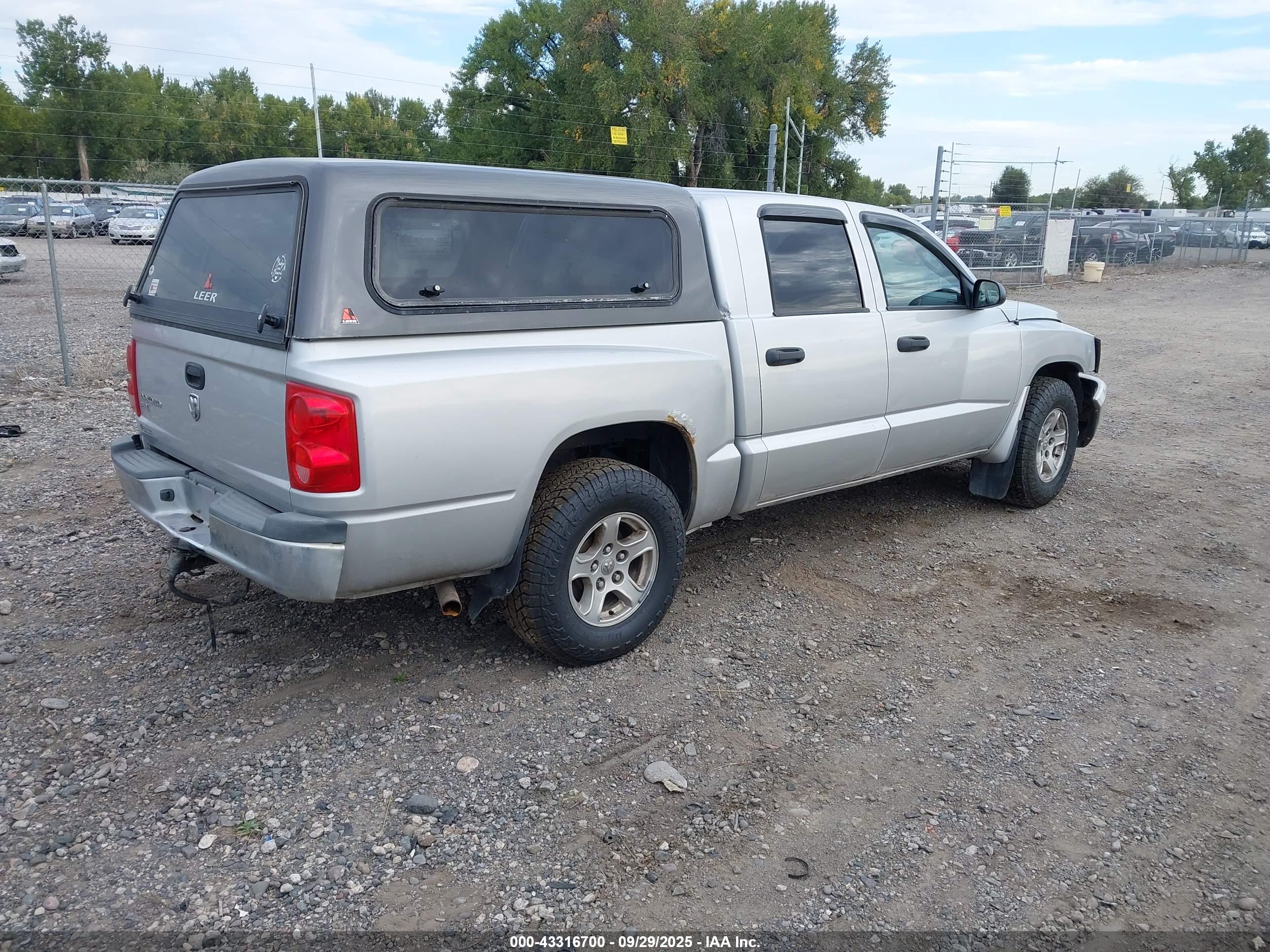 DODGE DAKOTA image 4
