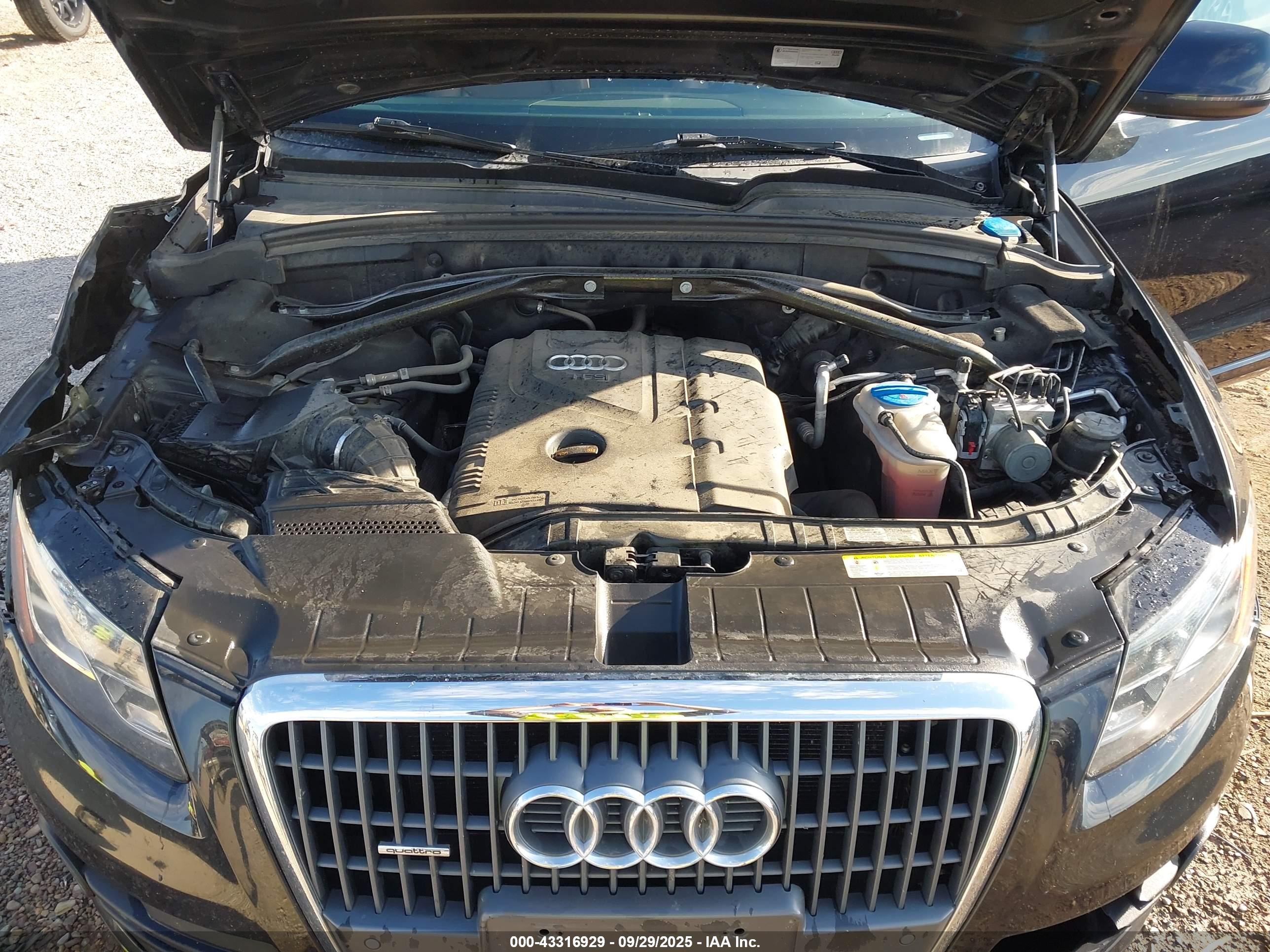 AUDI Q5 image 10