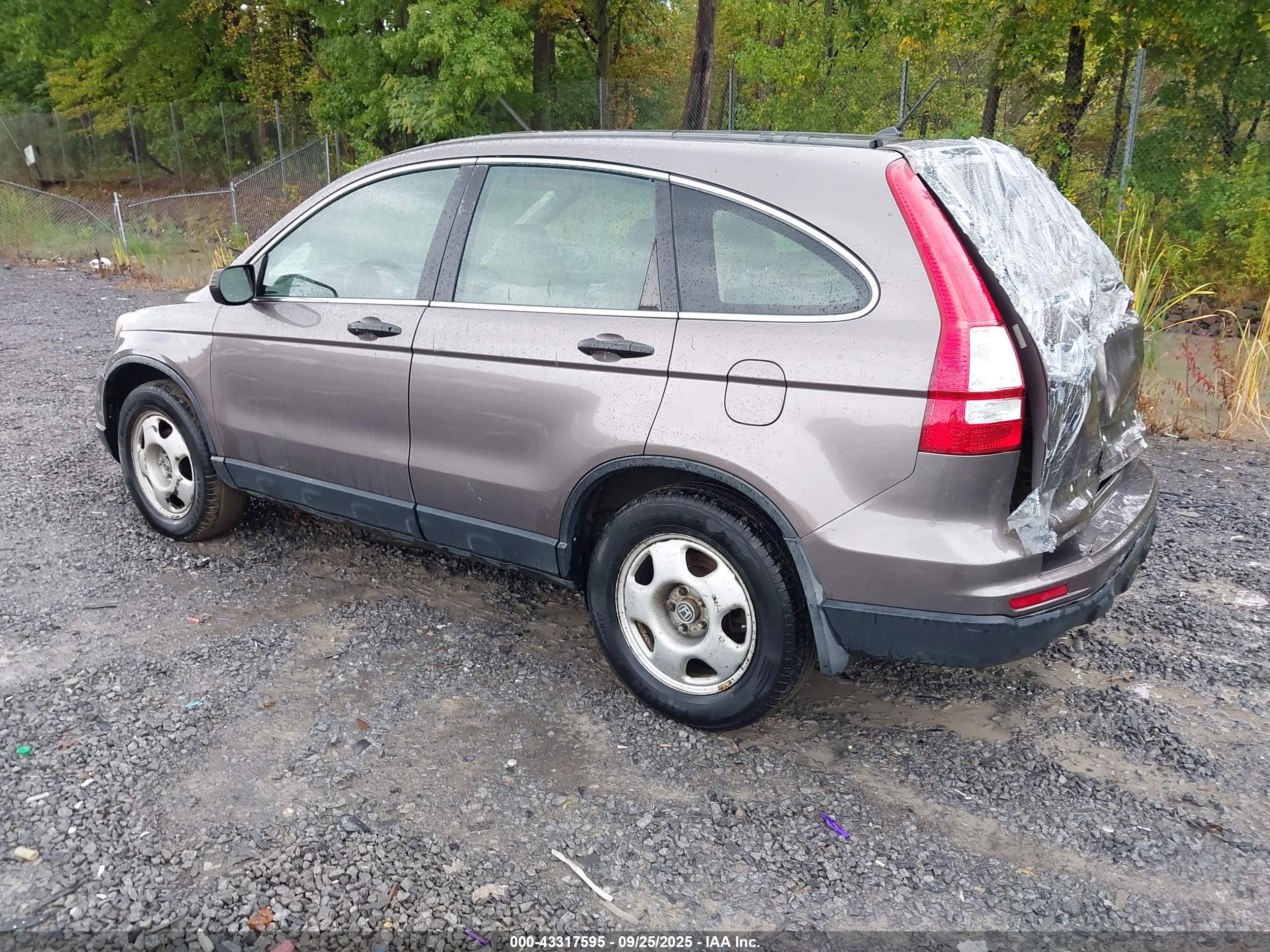 HONDA CR-V image 3