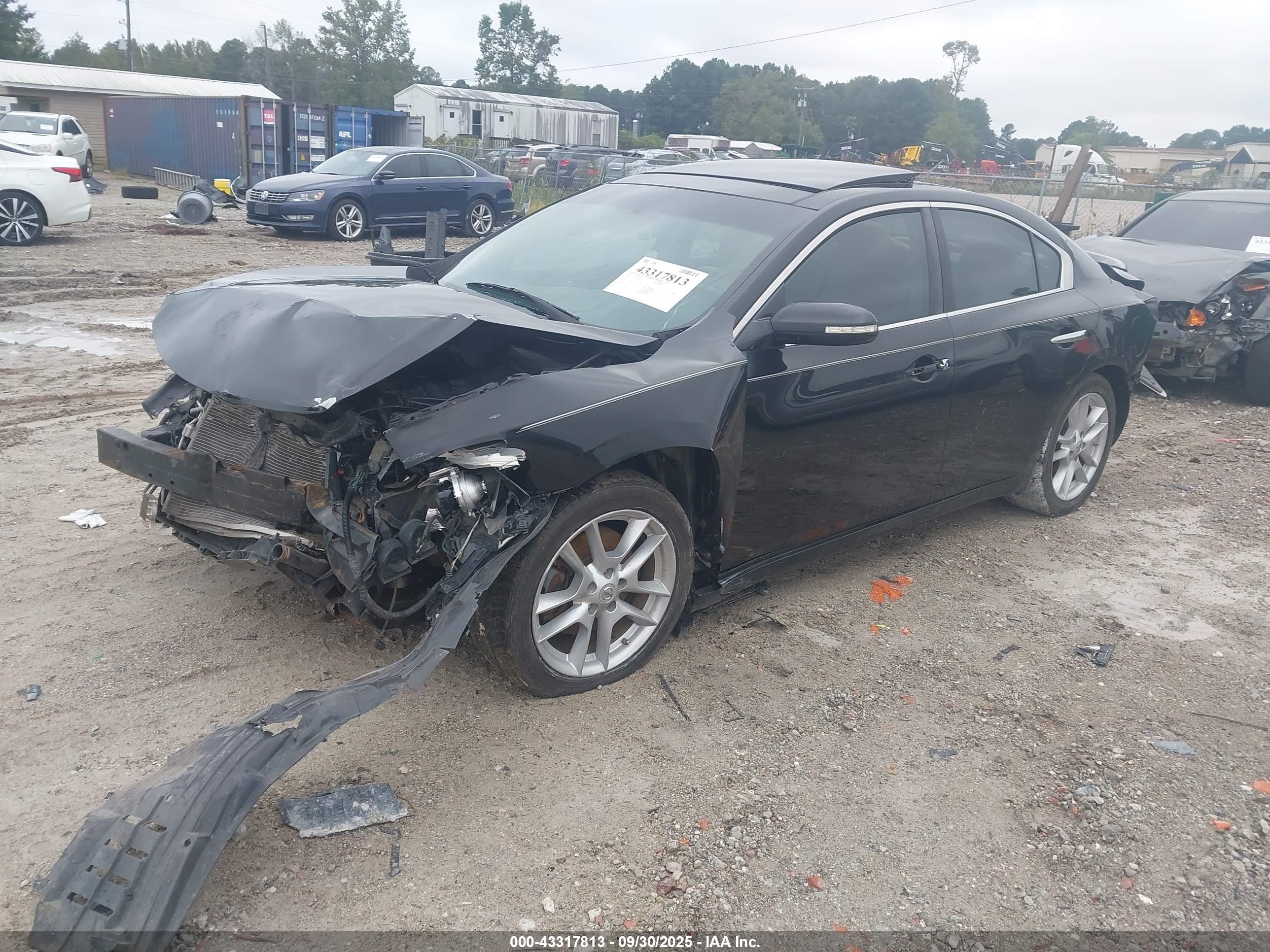 NISSAN MAXIMA image 2