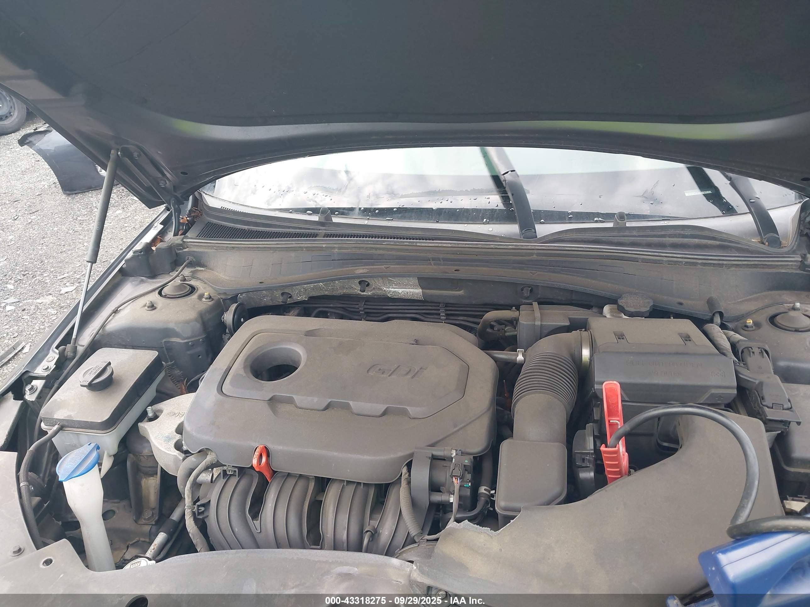KIA OPTIMA image 10