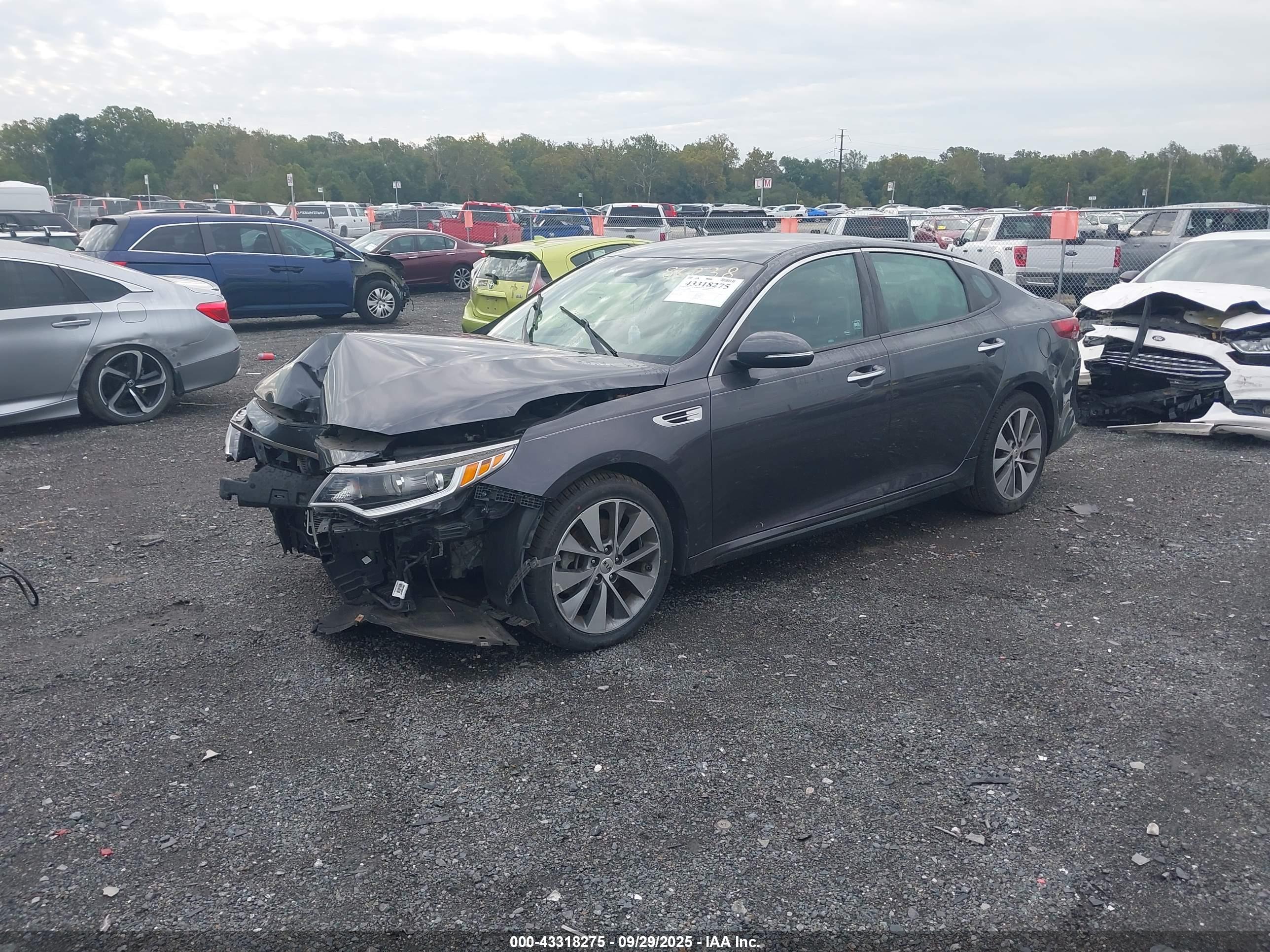 KIA OPTIMA image 2