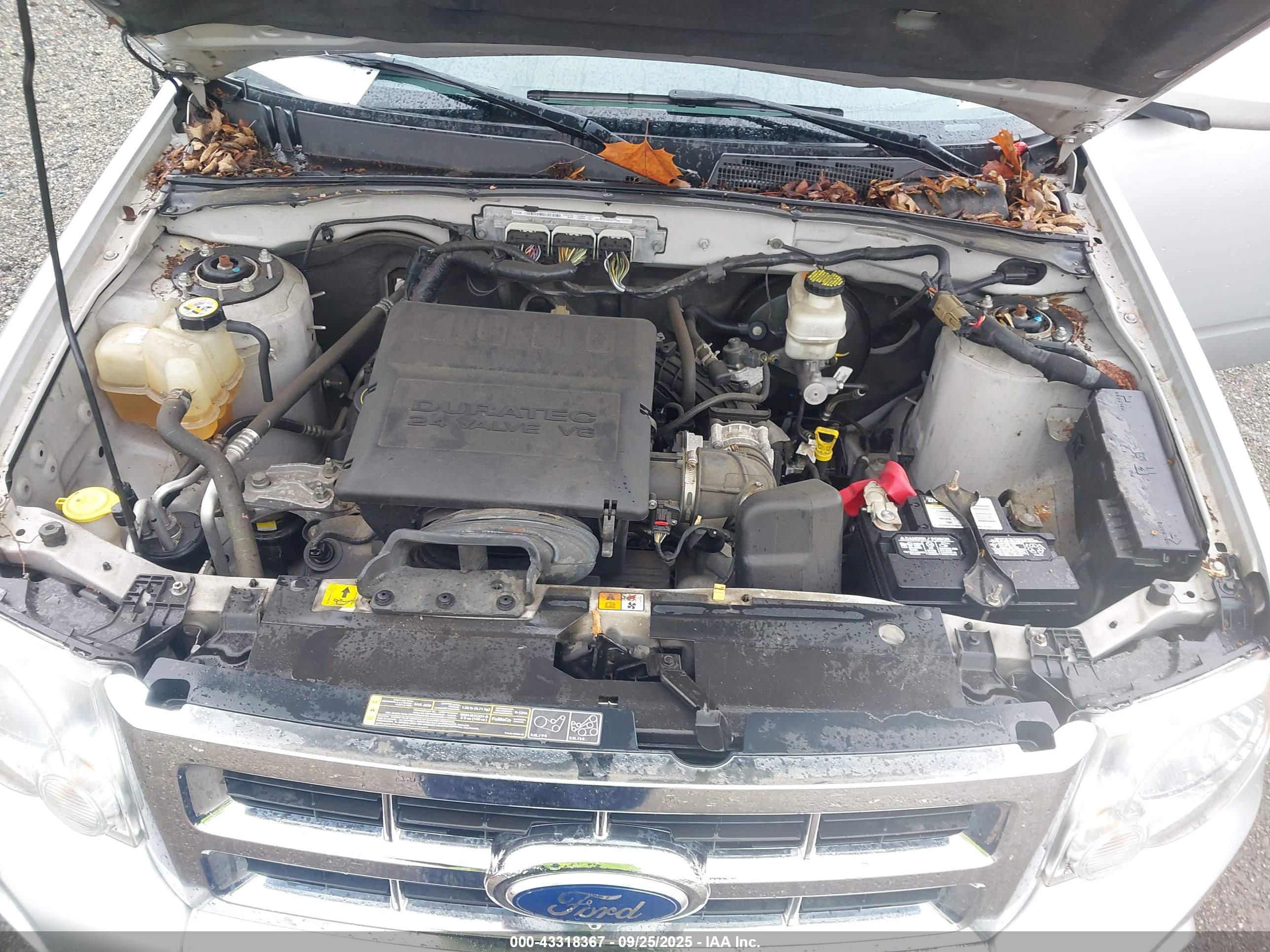 FORD ESCAPE image 10