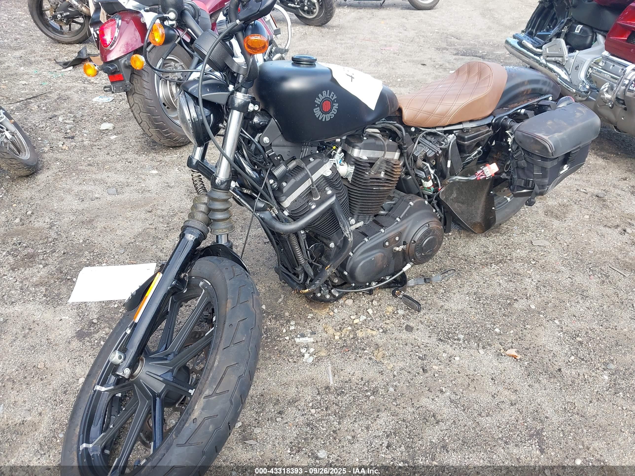 HARLEY-DAVIDSON XL883 image 2