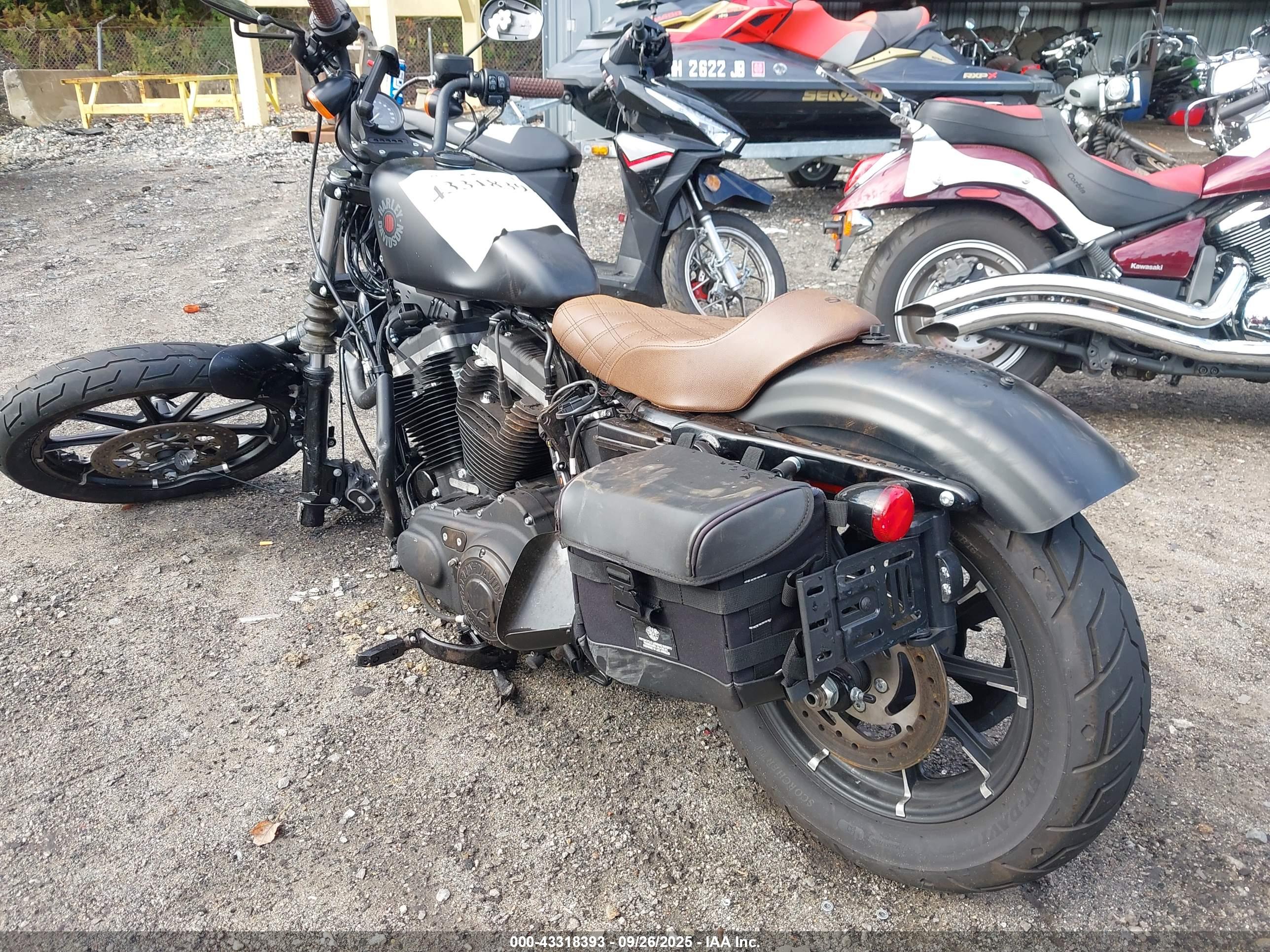 HARLEY-DAVIDSON XL883 image 3