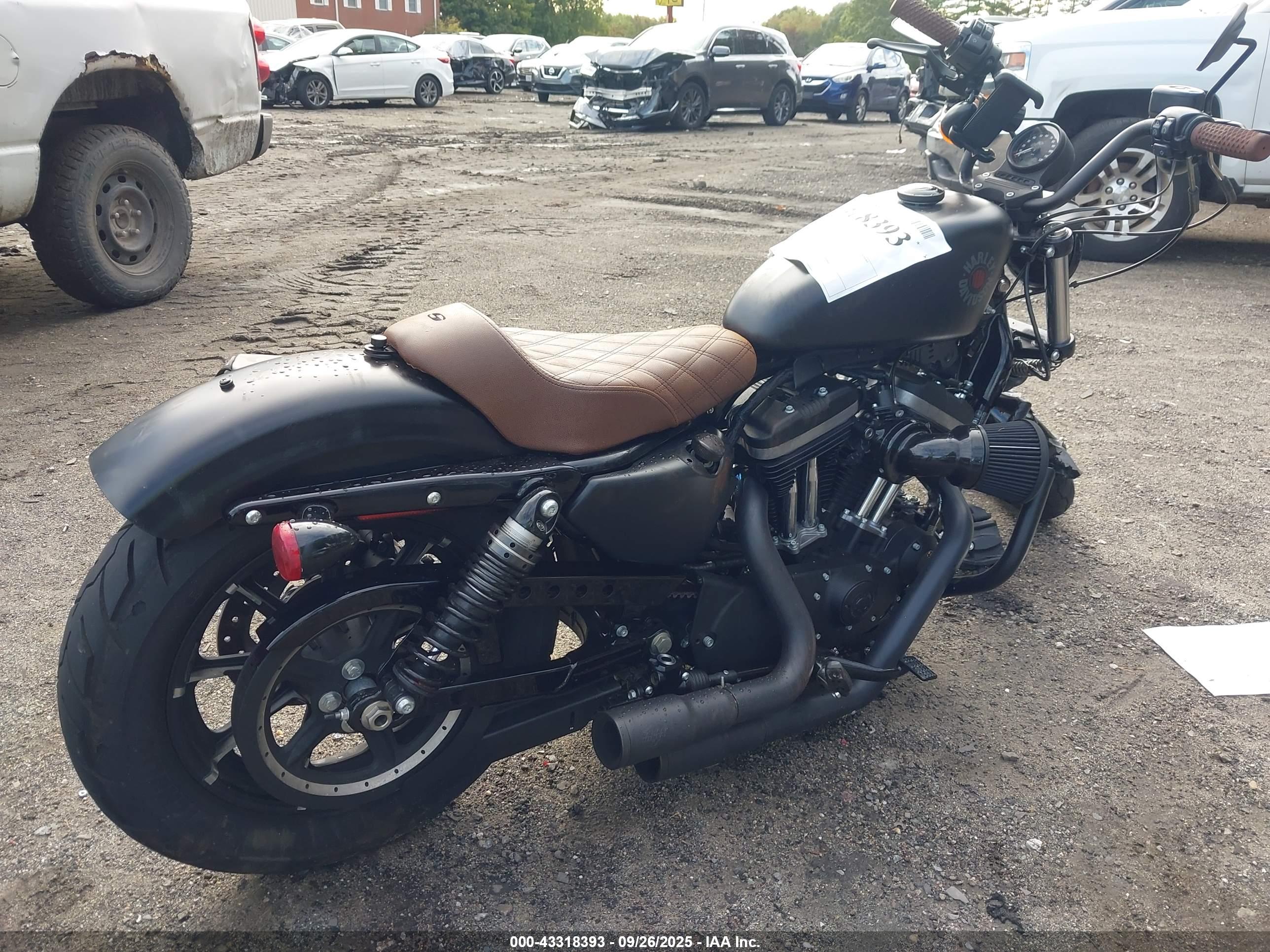 HARLEY-DAVIDSON XL883 image 4