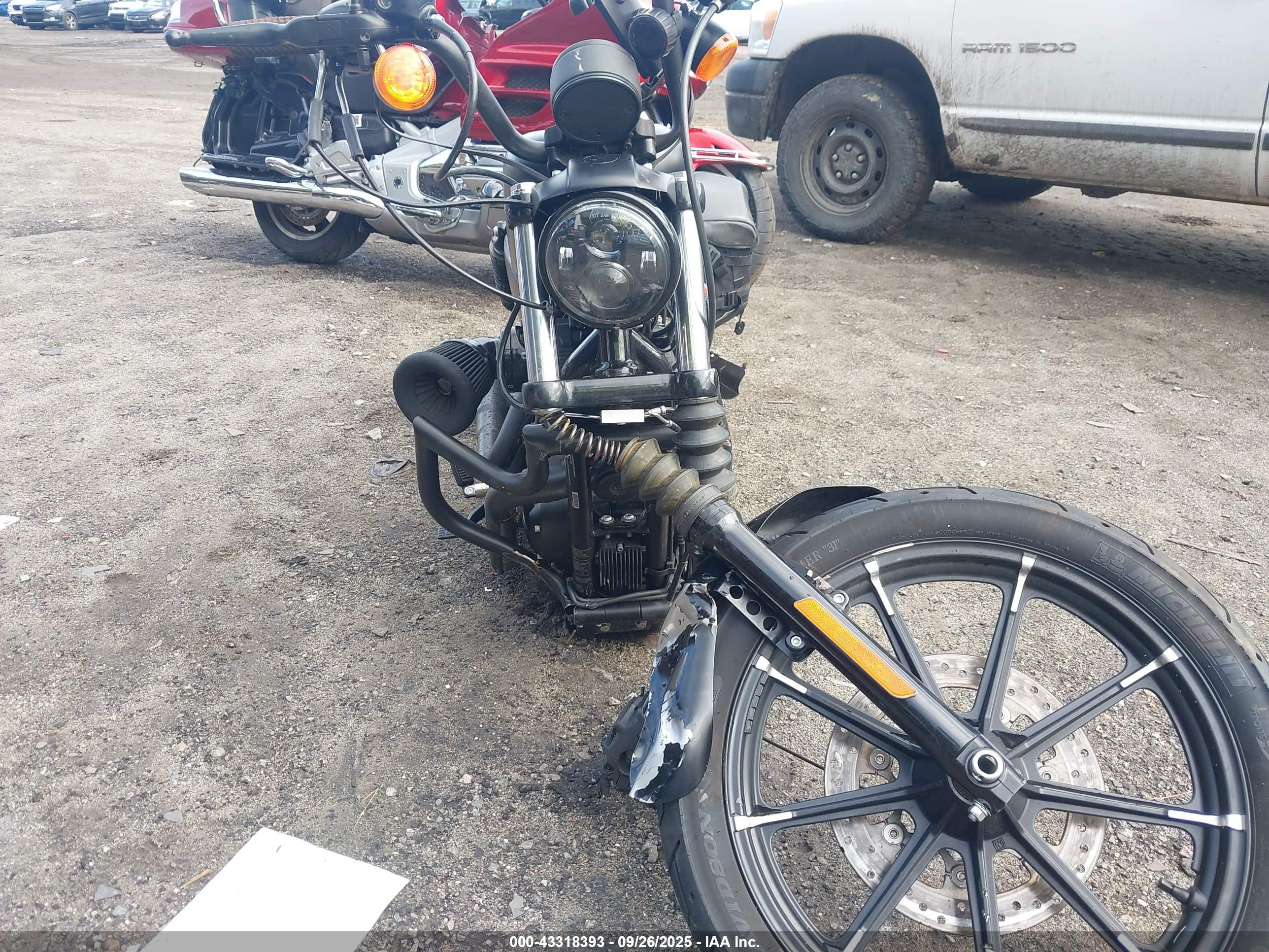 HARLEY-DAVIDSON XL883 image 5