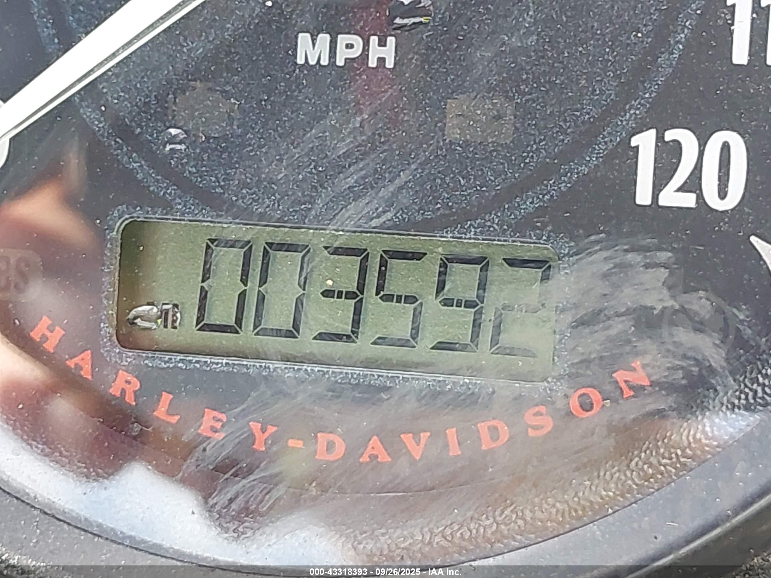 HARLEY-DAVIDSON XL883 image 7