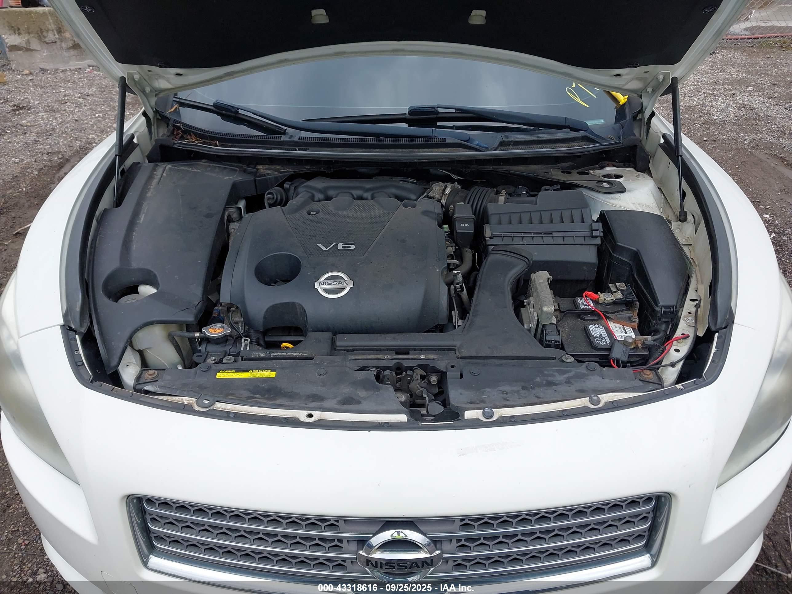 NISSAN MAXIMA image 10